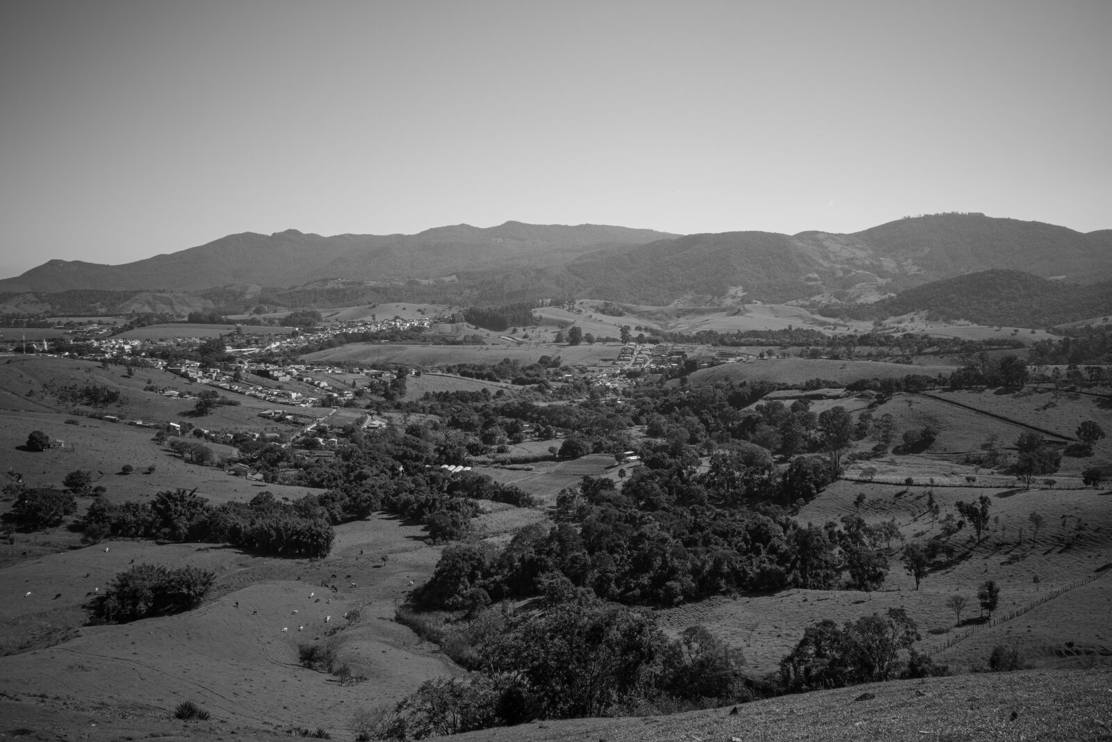 Ricoh GR IV MONOCHROME sample photo