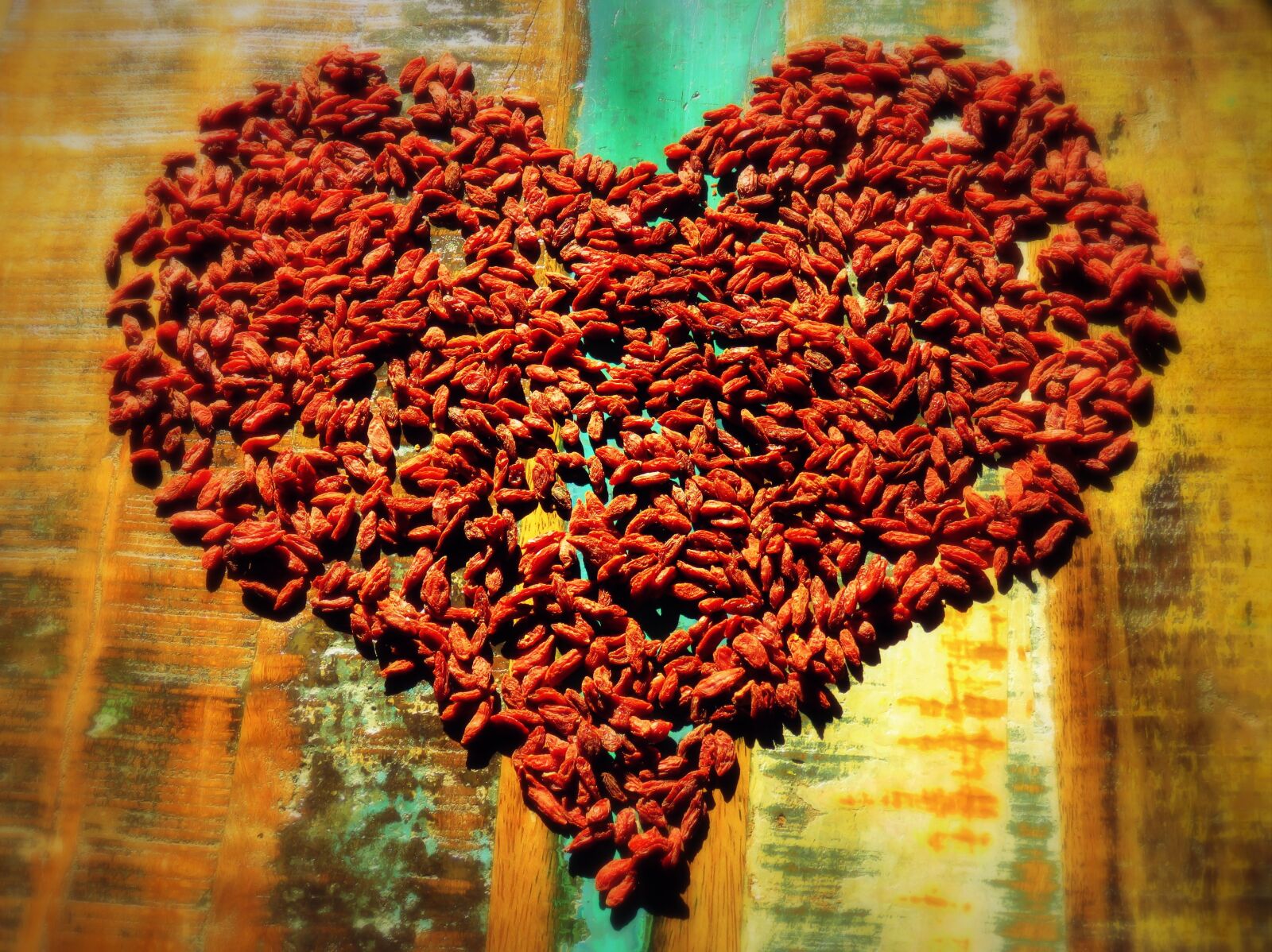 Canon PowerShot SX60 HS sample photo. Heart, love, feeling photography