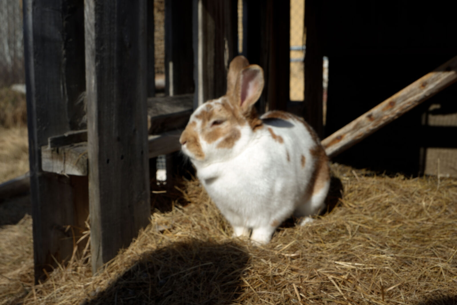 Fujifilm X-A3 sample photo