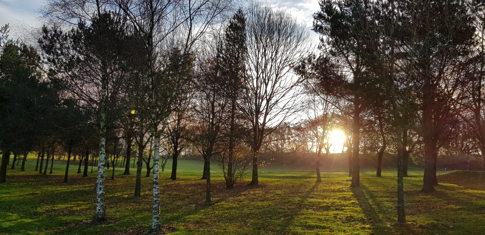 Samsung Galaxy S8 sample photo. Winter sun, low sun photography
