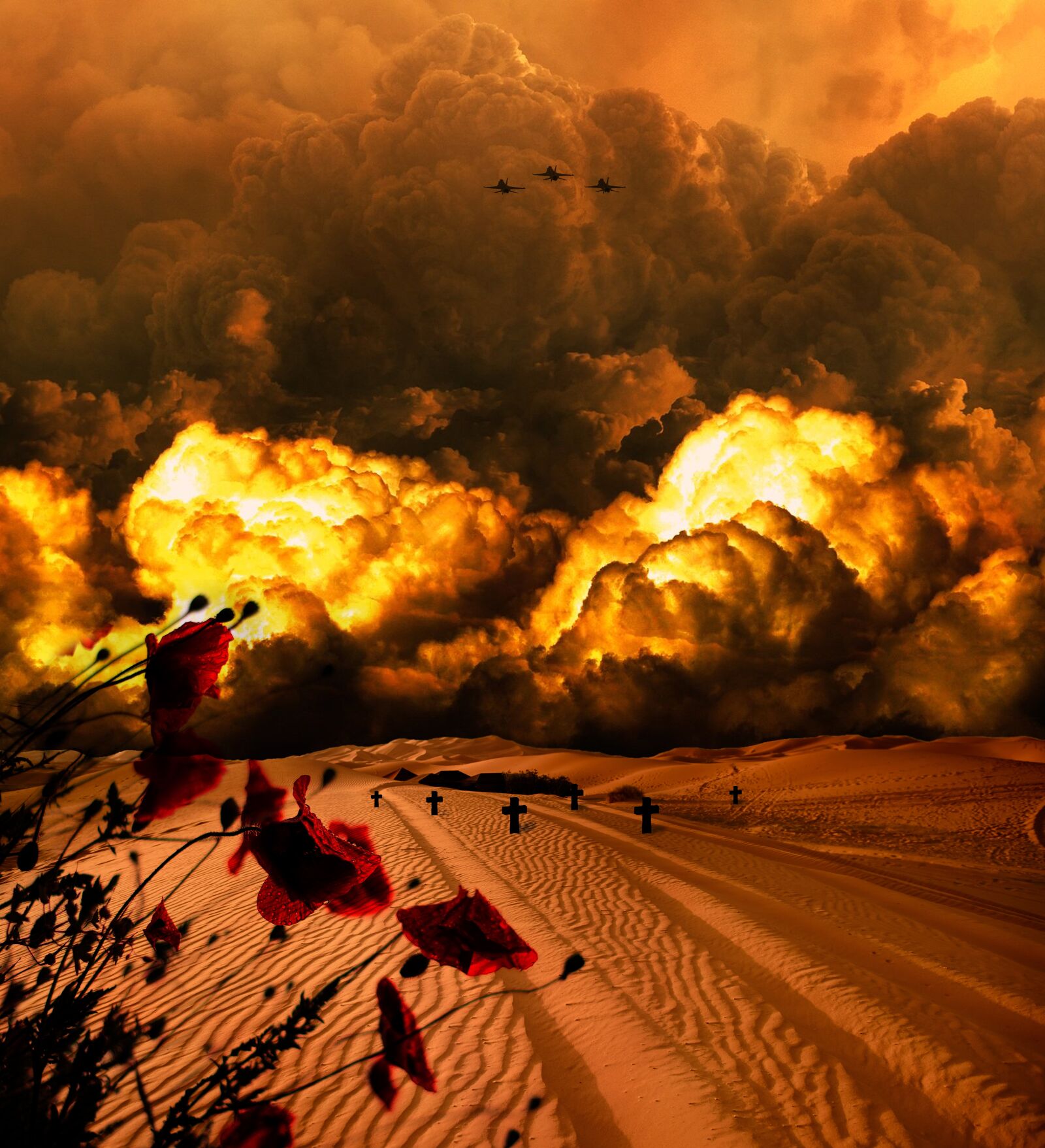 Nikon D810 sample photo. "War, explosion, apocalypse" photography