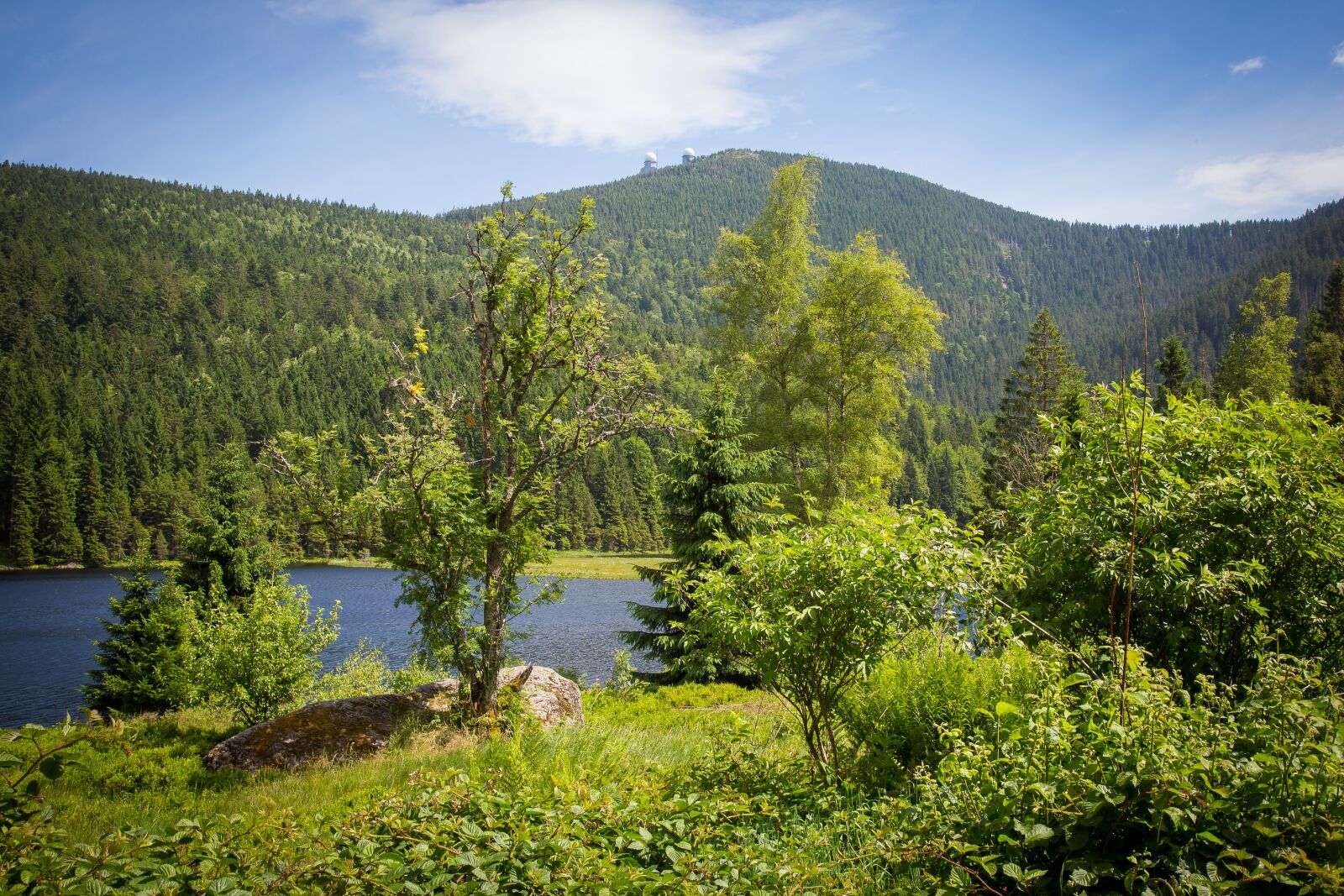 Canon EF 24-105mm F4L IS USM sample photo. Arber, kleiner arbersee, bergsee photography