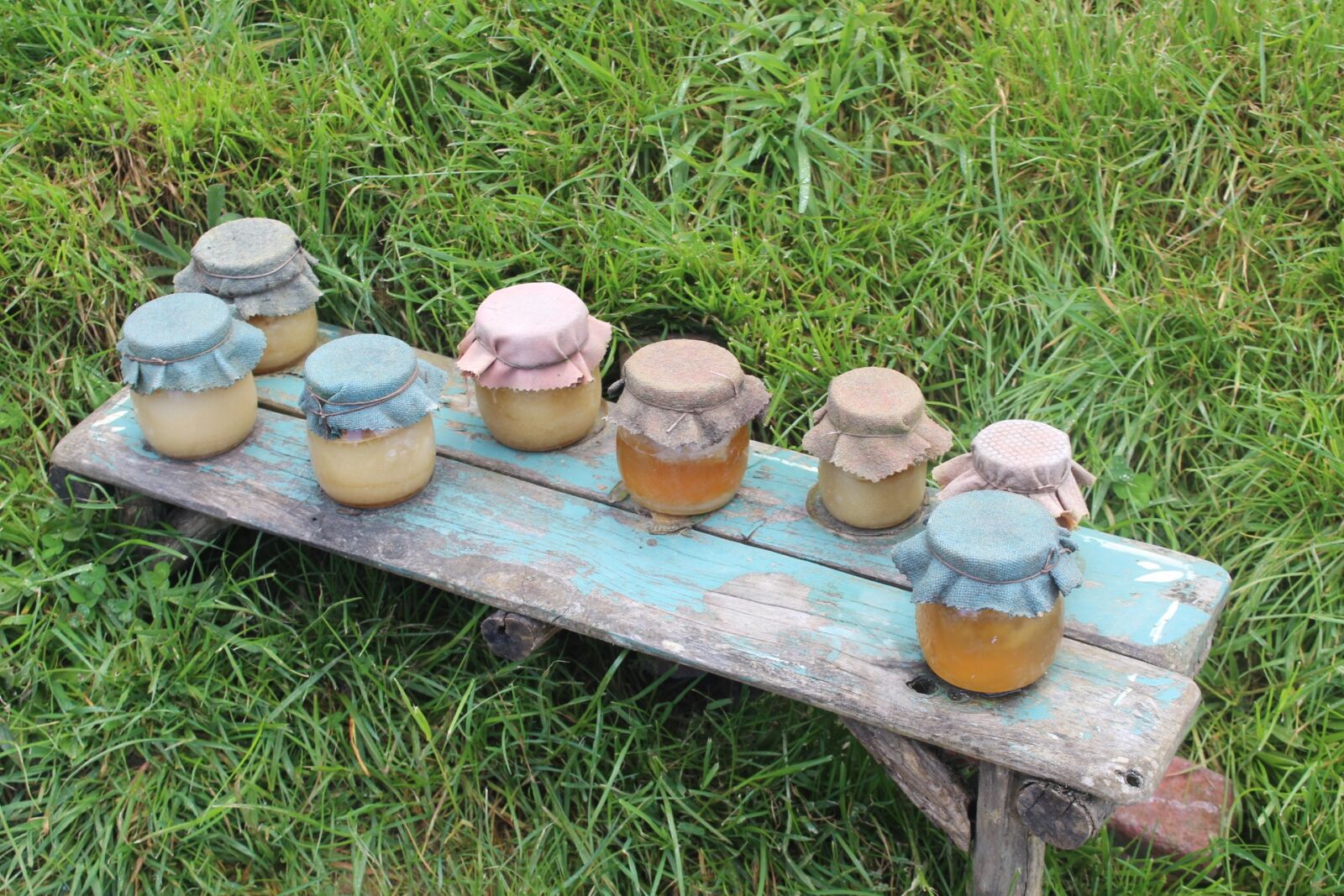Canon EOS 600D (Rebel EOS T3i / EOS Kiss X5) sample photo. Jars, honey, jam photography