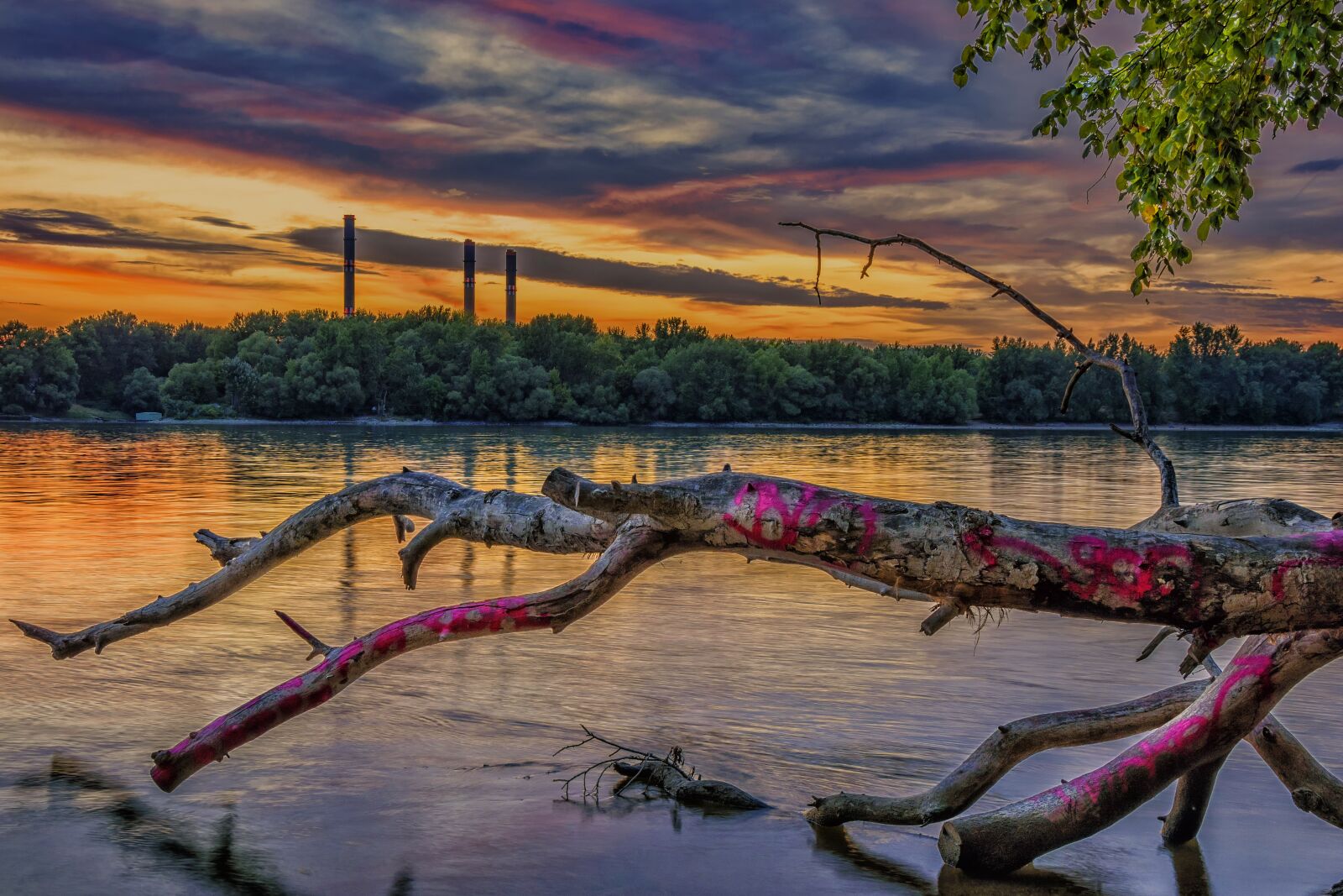 Nikon D5500 sample photo. The danube, wood, landscape photography