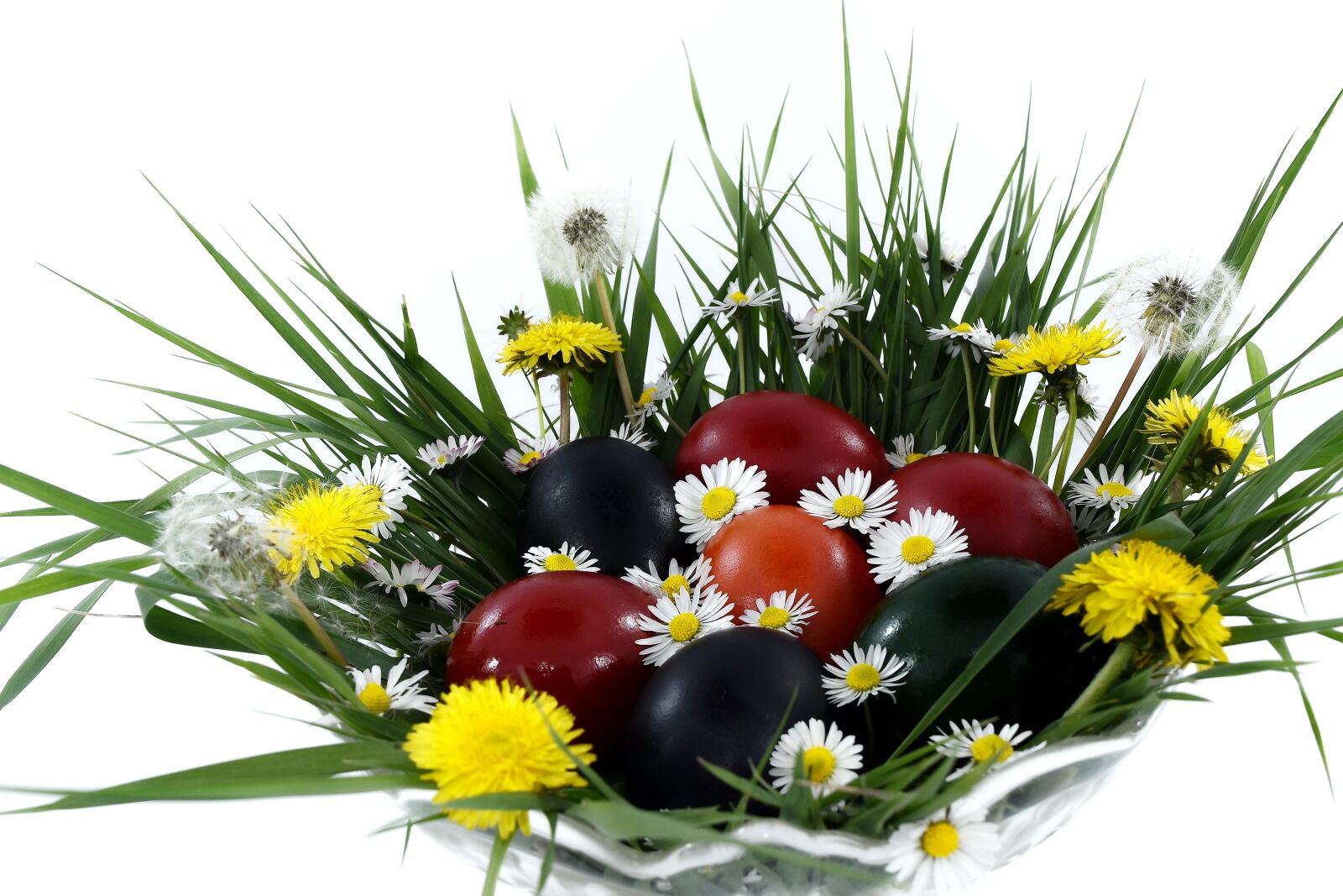 Nikon D5500 sample photo. Bowl, colorful, daisies, dandelion photography