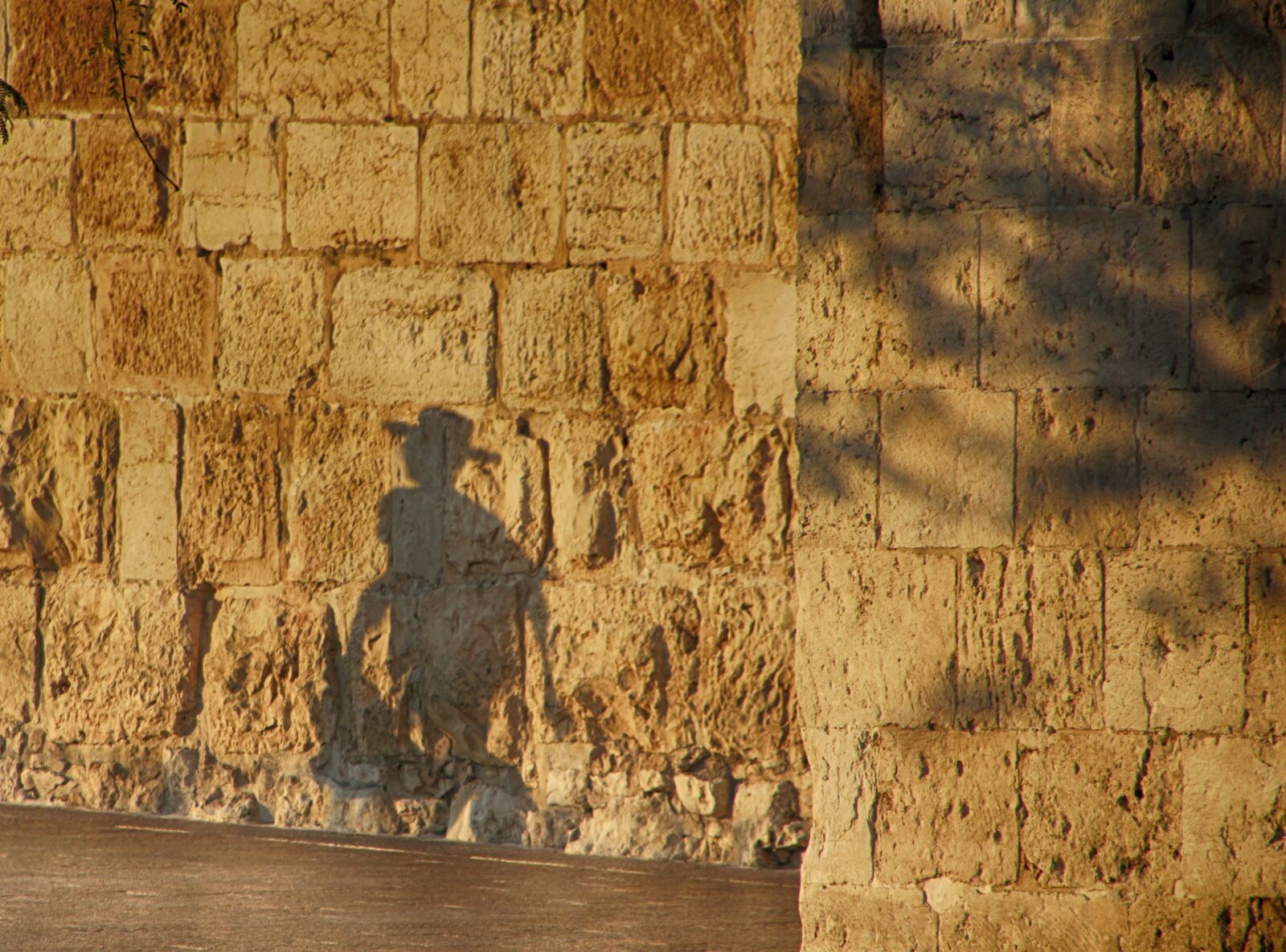 Canon EOS 550D (EOS Rebel T2i / EOS Kiss X4) sample photo. Shadows, wall, jerusalem photography