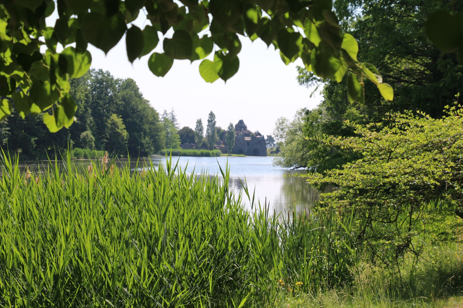 Canon EOS 70D sample photo. Green, park, nature photography