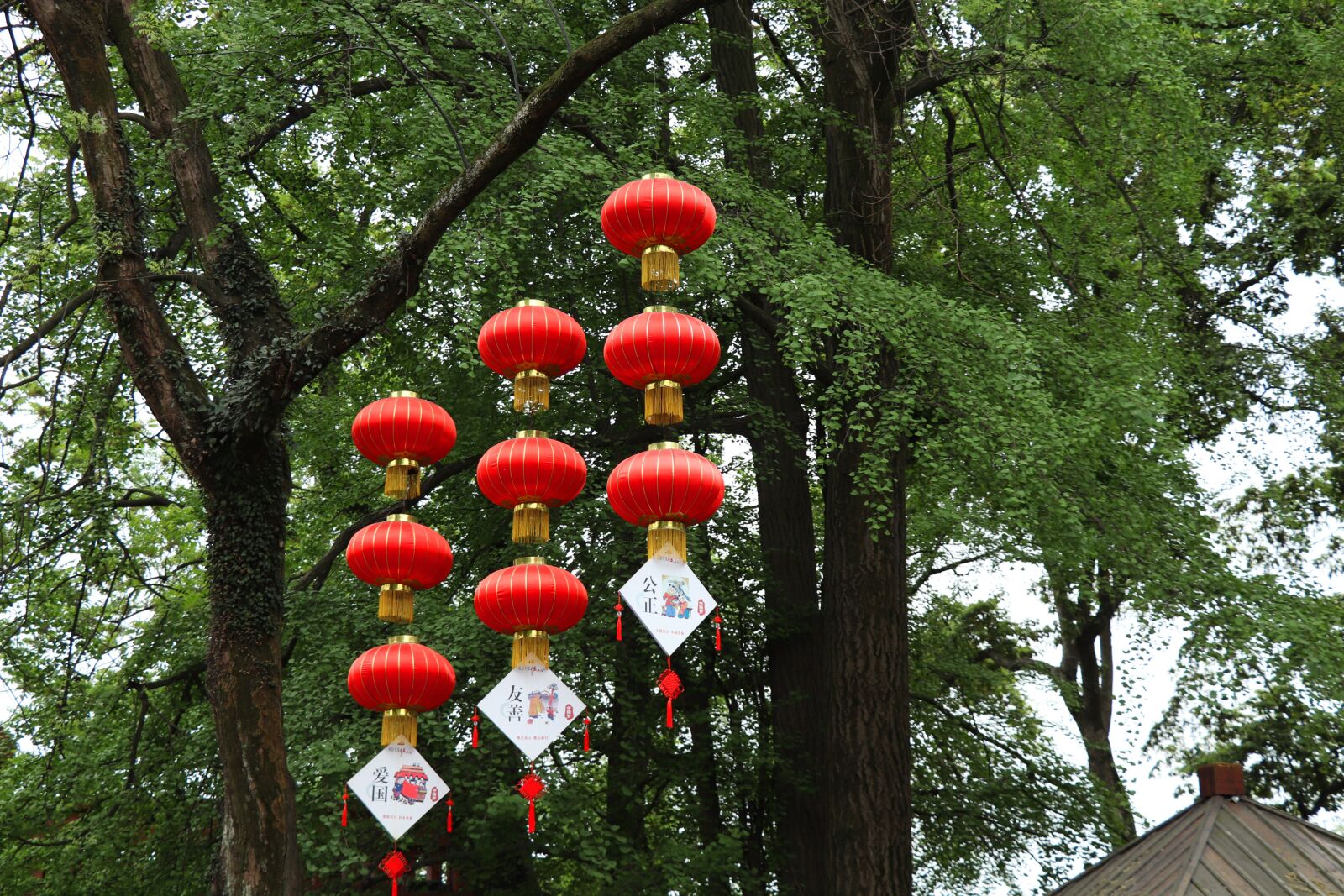 Canon EOS 77D (EOS 9000D / EOS 770D) sample photo. Tree, nature, park photography