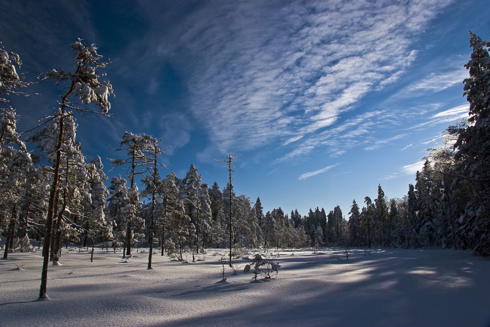 Canon EOS 20D sample photo. Snow, the nature of photography