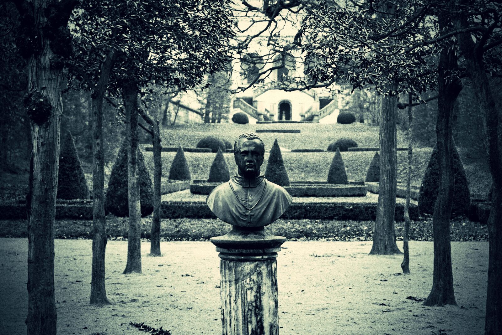 Nikon D700 sample photo. Trees, statue, garden photography