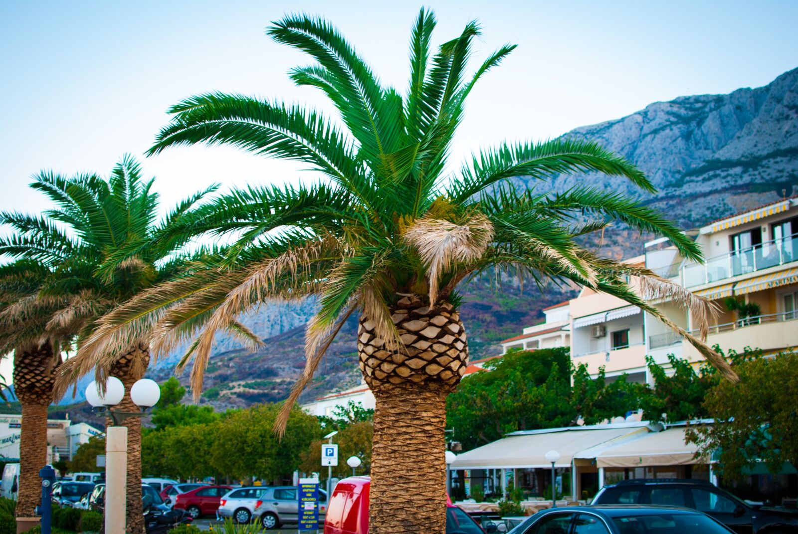 Nikon D60 sample photo. Palma, croatia, mountains photography