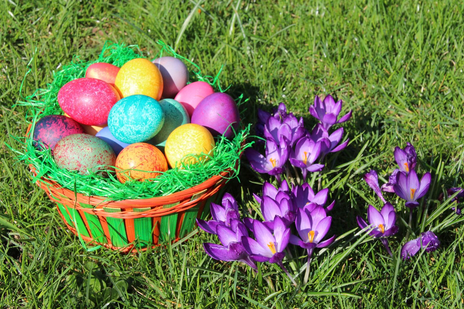 Canon EOS 700D (EOS Rebel T5i / EOS Kiss X7i) sample photo. Easter, spring, easter egg photography