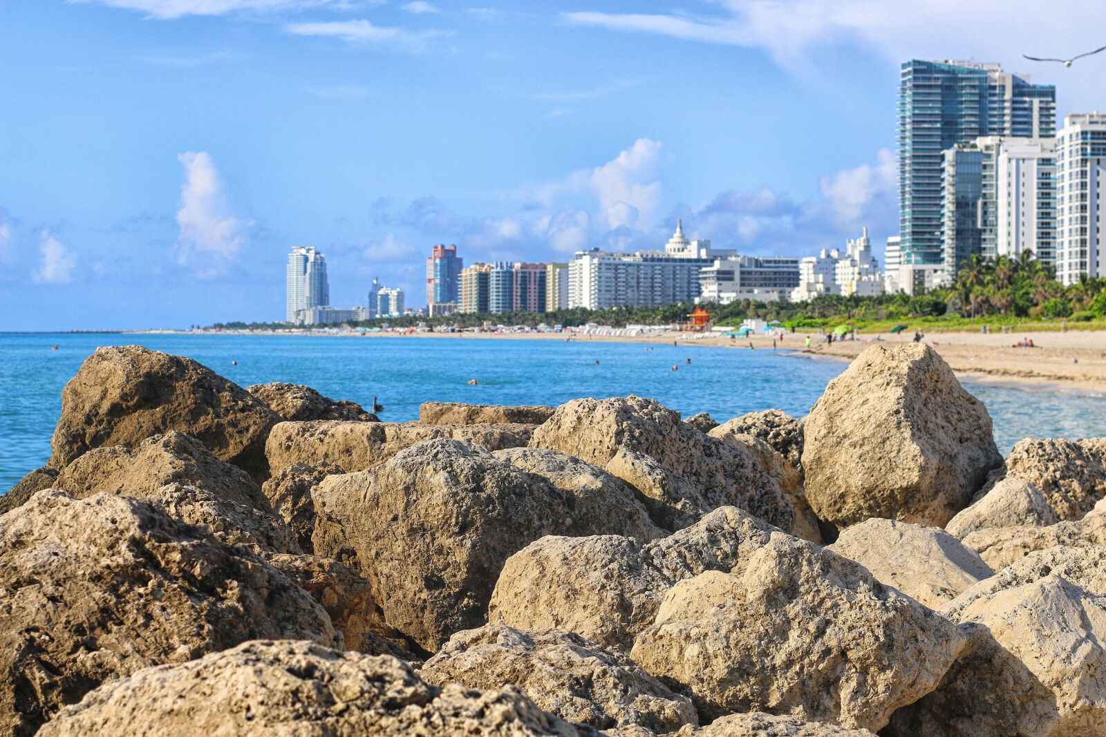 Canon EOS 70D + Canon EF 50mm F1.8 II sample photo. Ocean, atlantic, miami beach photography