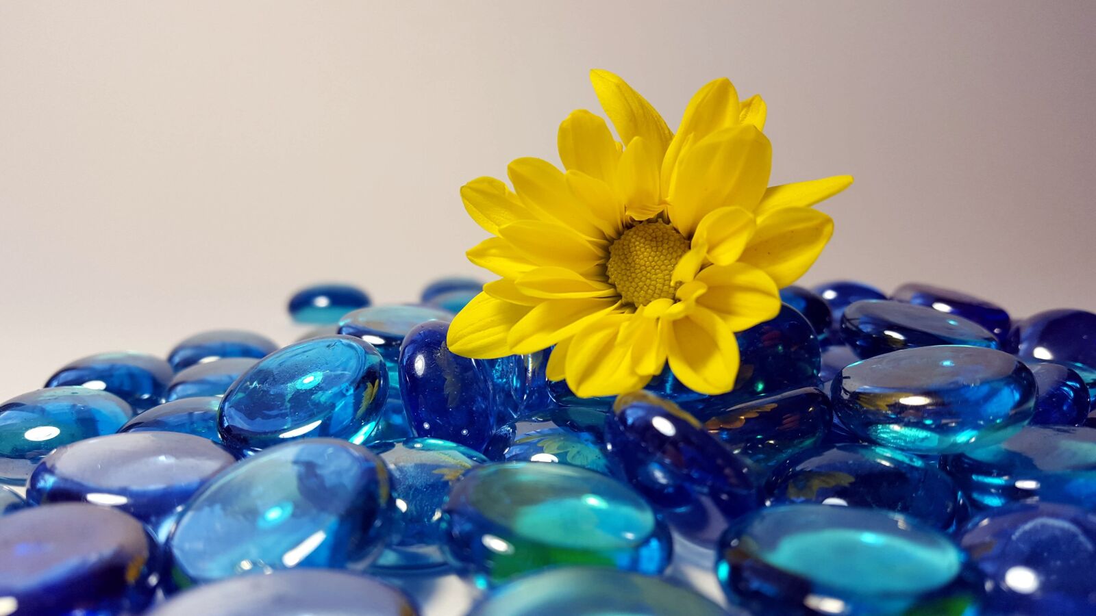 Samsung Galaxy S6 sample photo. Glass, yellow, flower photography