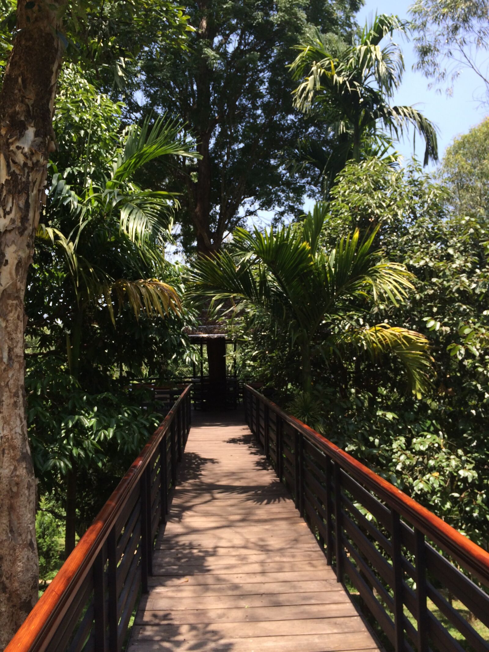 iPhone 5s back camera 4.12mm f/2.2 sample photo. Bridge, india, kerala photography