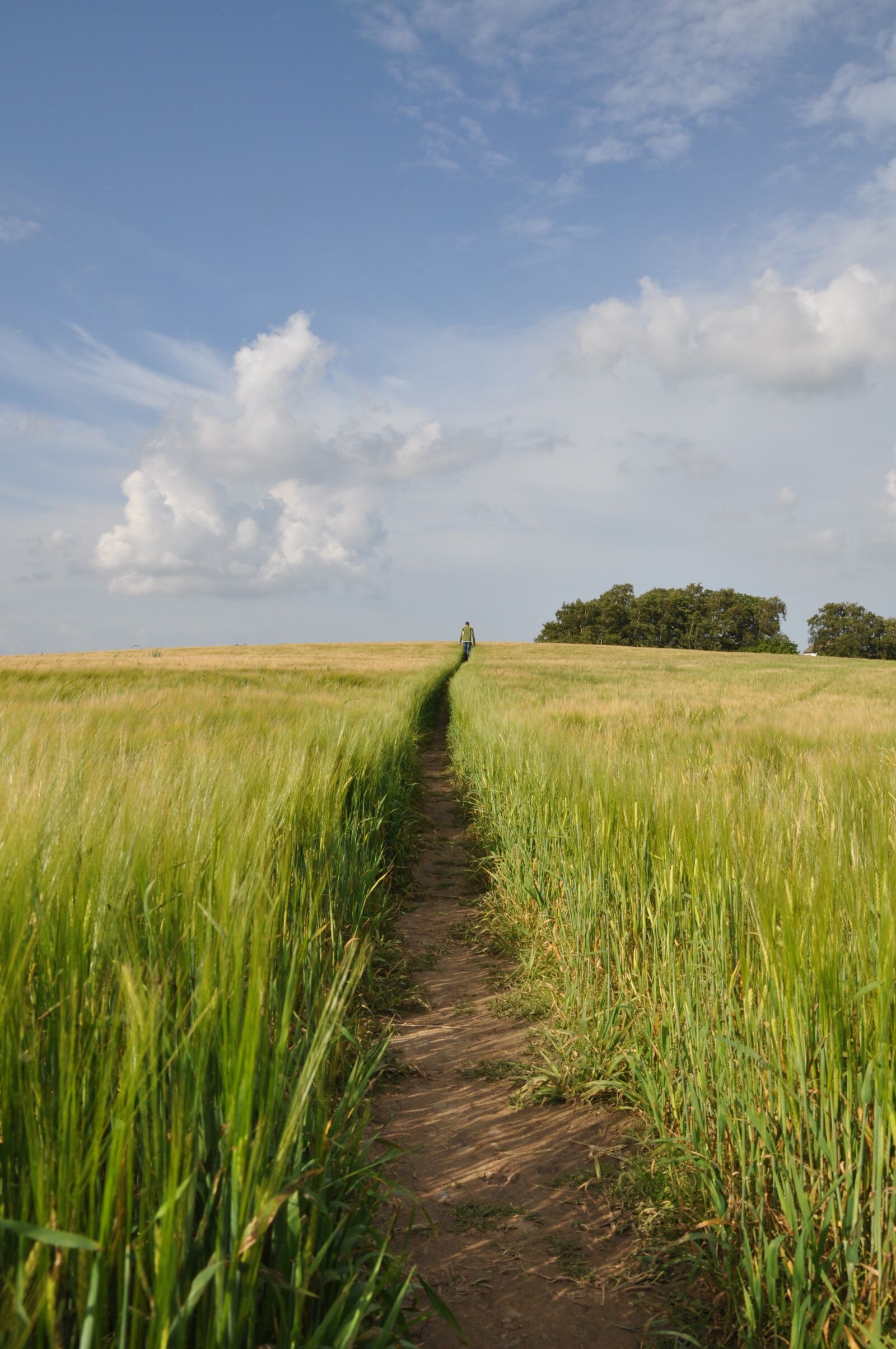 Nikon D90 sample photo. Nature, wide, sky photography