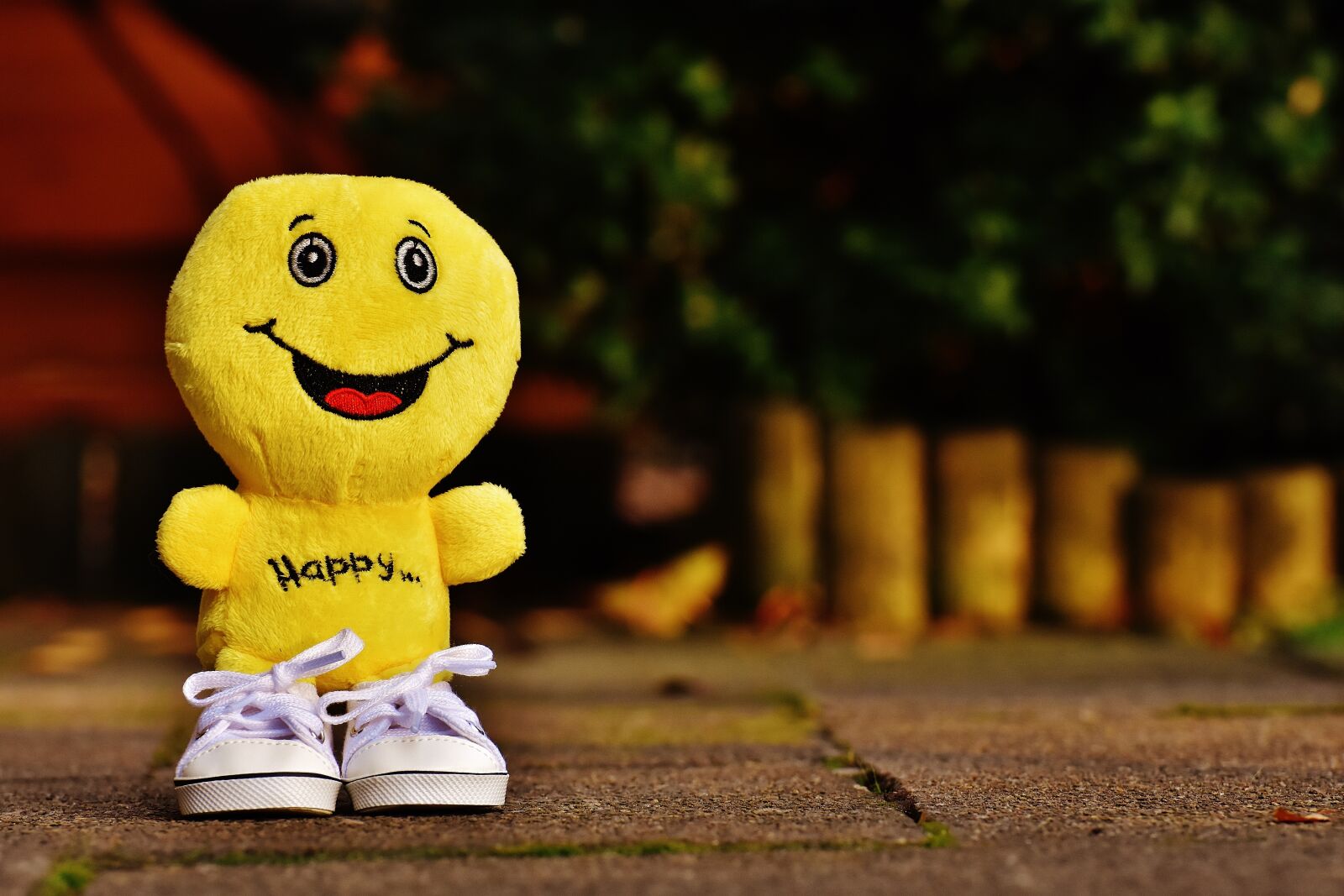 Nikon D7200 sample photo. Smiley, laugh, sneakers photography