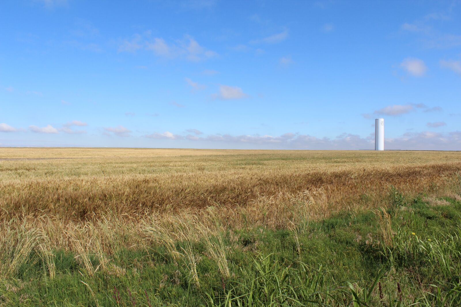 Canon EOS 600D (Rebel EOS T3i / EOS Kiss X5) sample photo. Wheat, water tower, blue photography