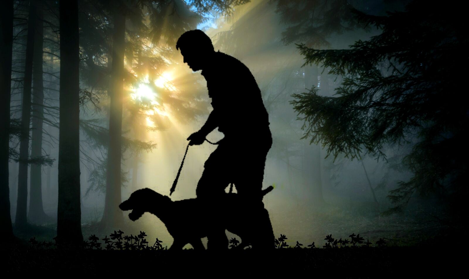 Canon EOS 70D sample photo. Walk, man, dog photography