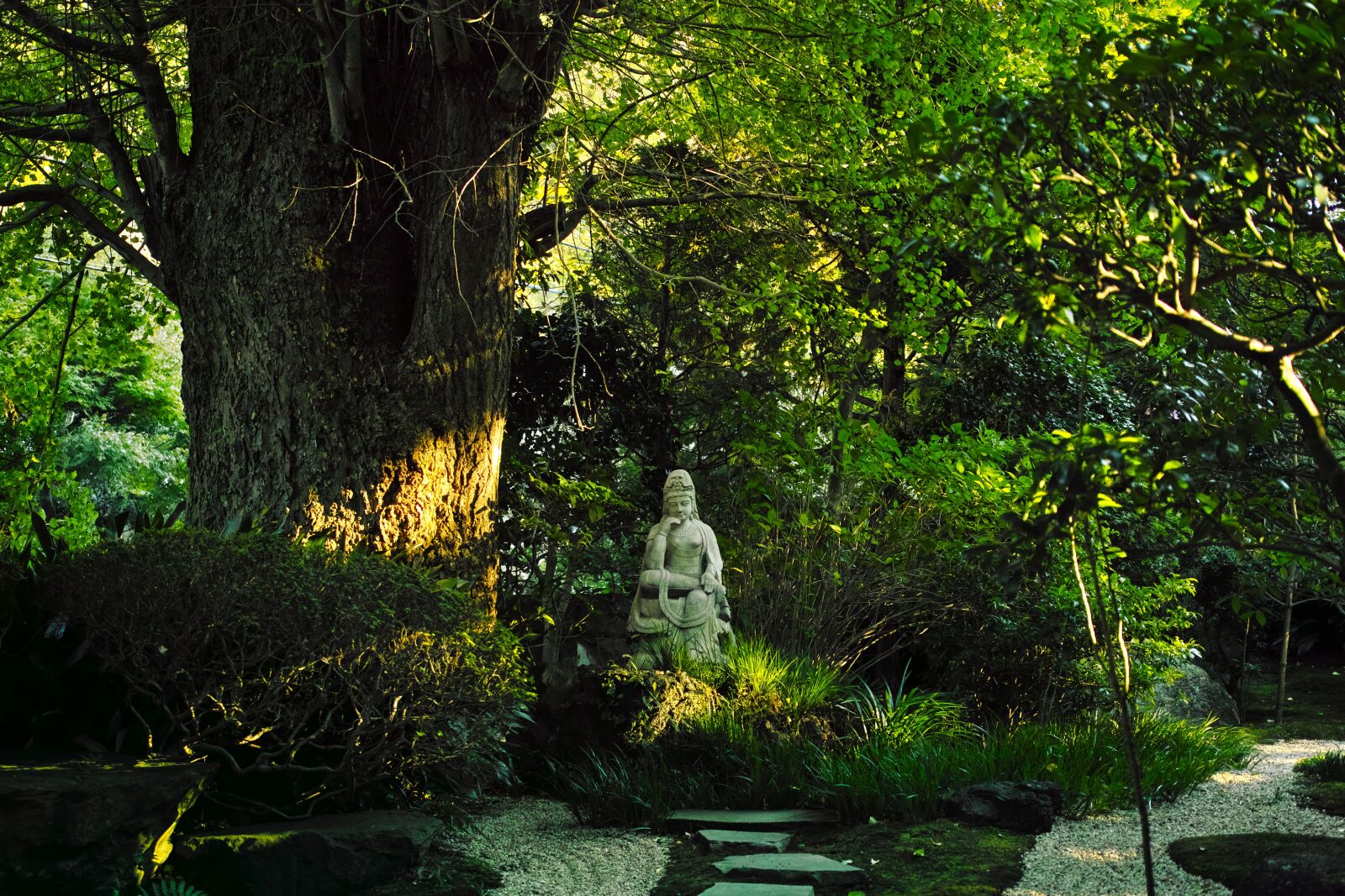 Sigma DP2 Merrill sample photo. Temple, japan, buddha statue photography