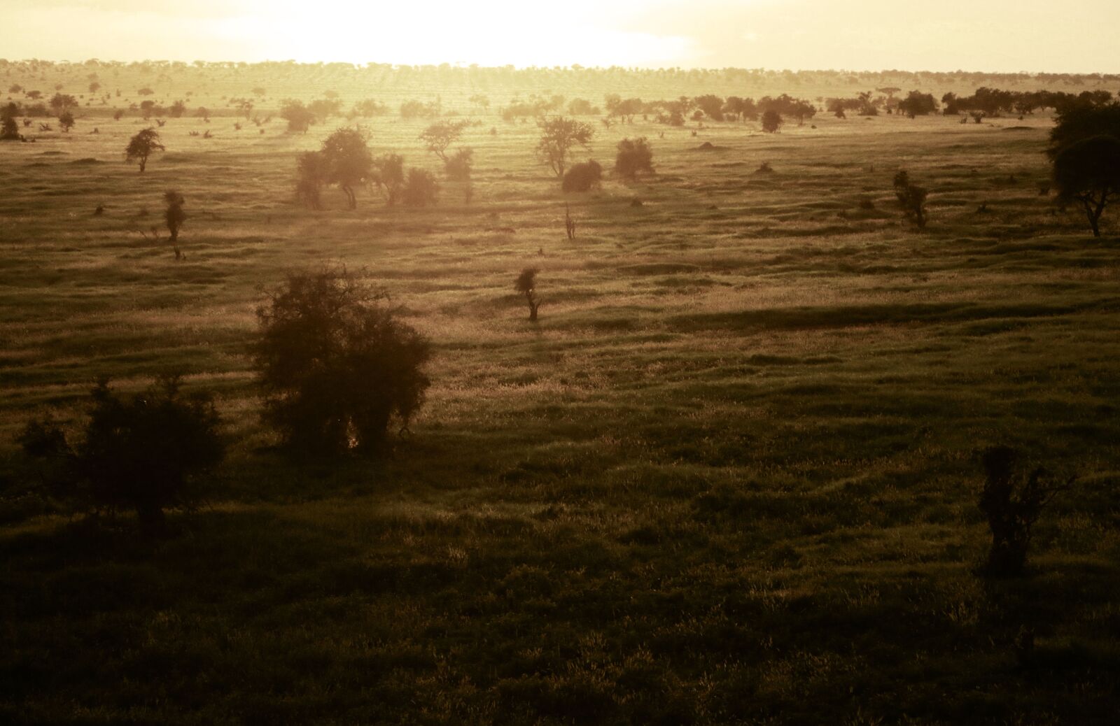 Canon EOS 70D sample photo. Evening, sunset, outdoors photography