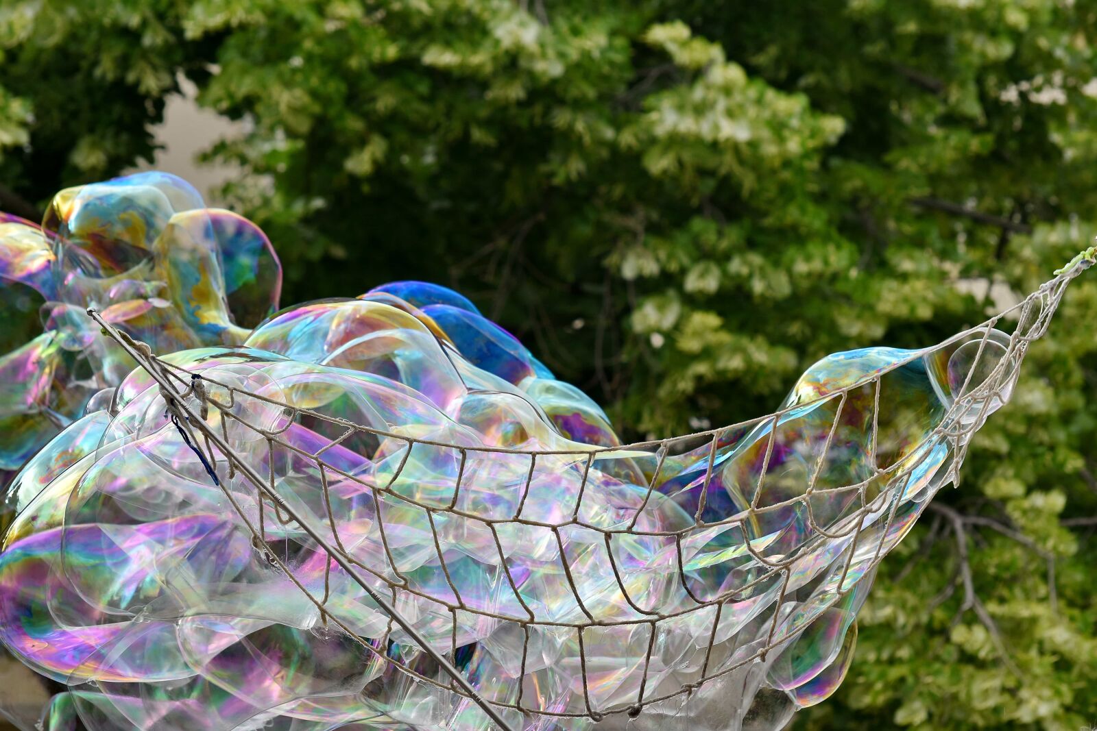 Nikon D5500 sample photo. Bubble, colourful, network, soap photography