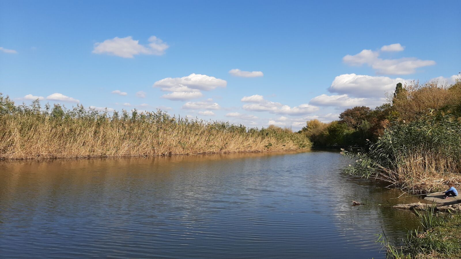 Samsung Galaxy A50 sample photo. River, water, blue photography