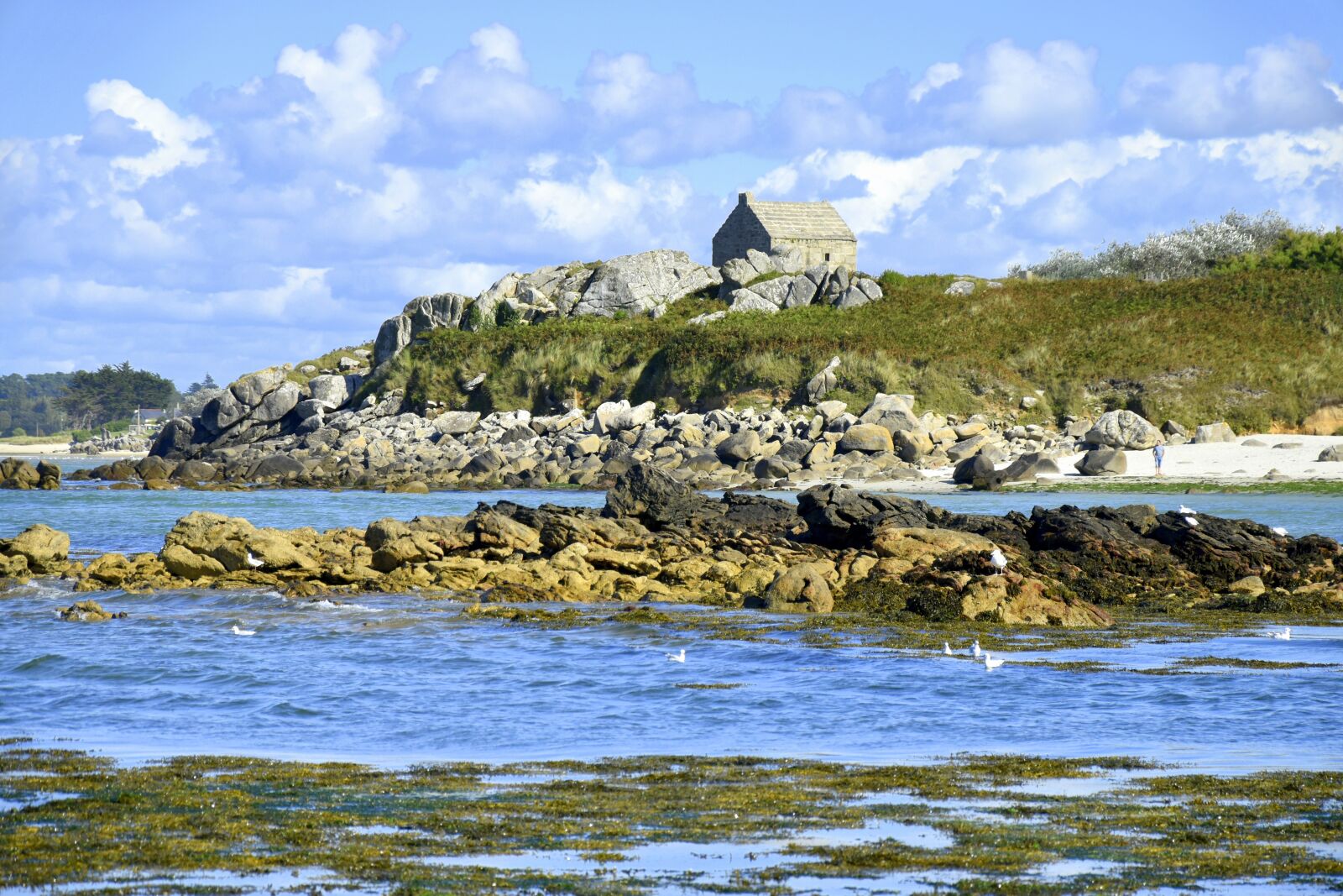 Nikon D5600 sample photo. Sea, atlantic, france photography