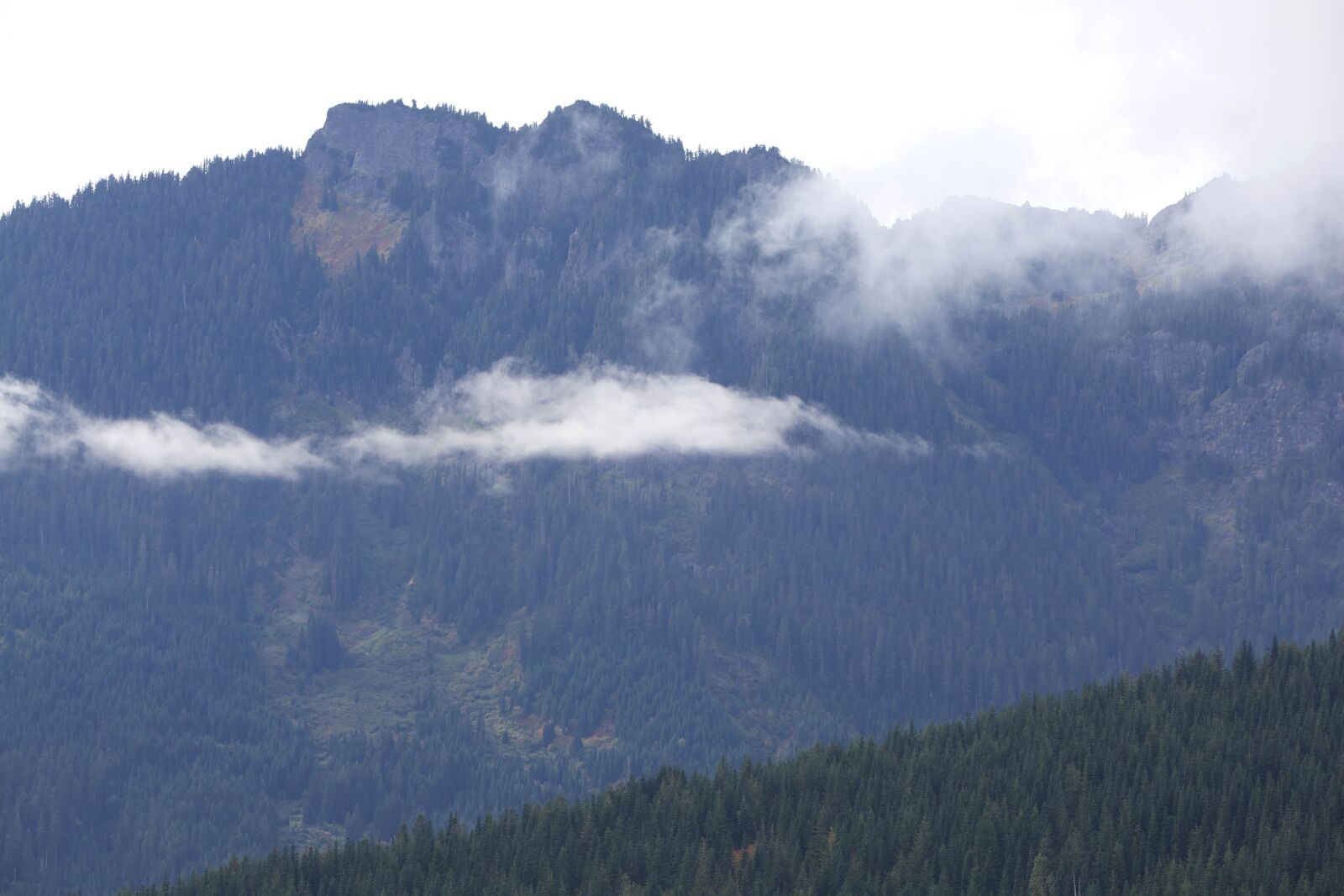 Canon EOS 5D Mark II sample photo. Evergreen, forest, hills, mountains photography