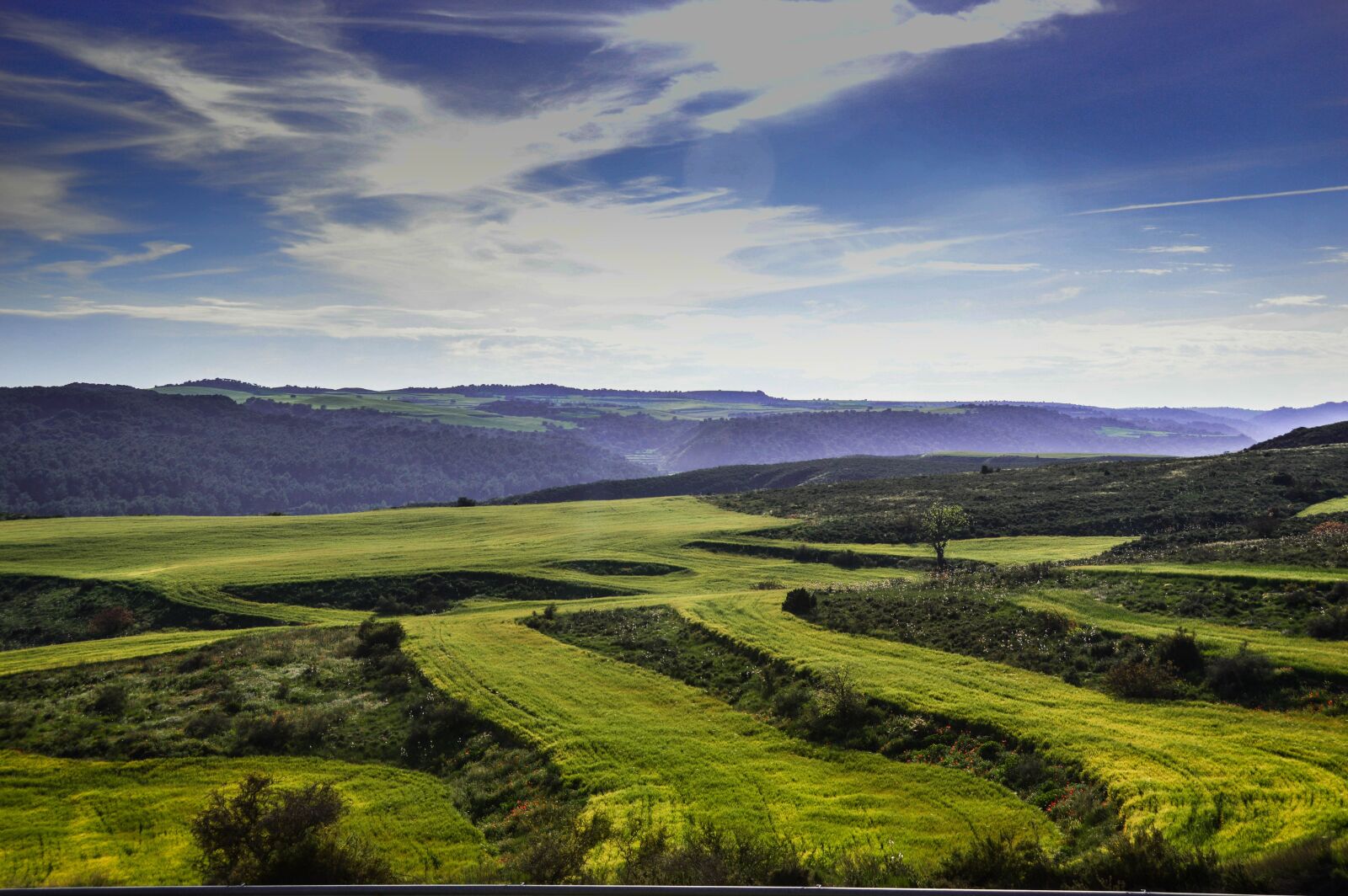 Nikon D3200 sample photo. Fields, lleida, plantations photography