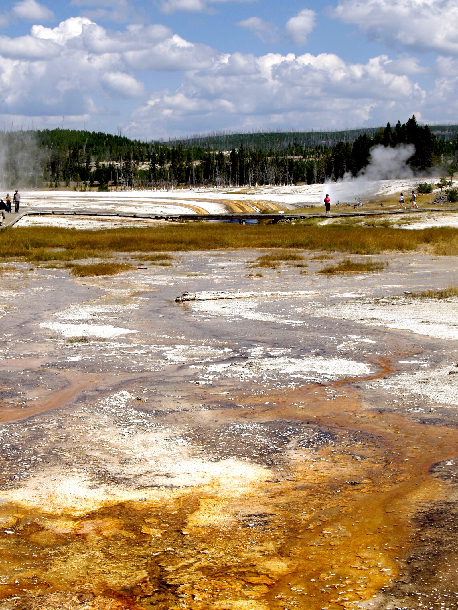 Olympus E-330 (EVOLT E-330) sample photo. Yellowstone national park, wyoming photography