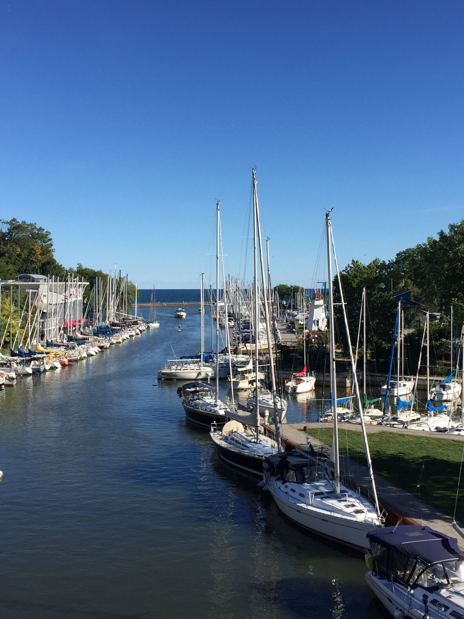 Apple iPhone 6 sample photo. Harbor, oakville, sailing photography