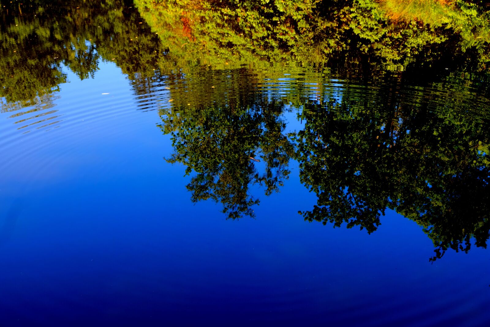 Fujifilm X-T20 sample photo. Lake, water, nature photography
