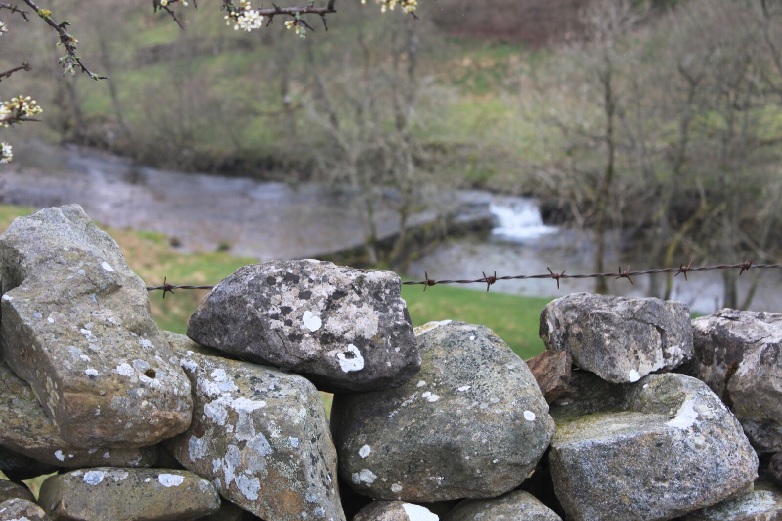 Canon EOS 500D (EOS Rebel T1i / EOS Kiss X3) sample photo. Yorkshire, england, wall photography