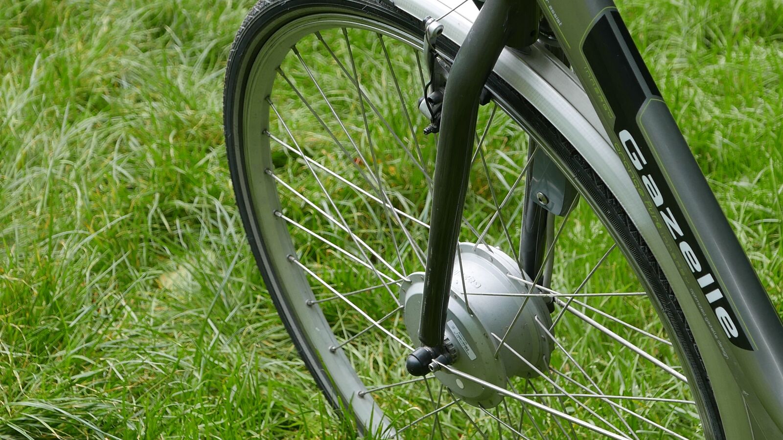 Panasonic Lumix DMC-LX100 sample photo. Bicycle, nature, cycling photography