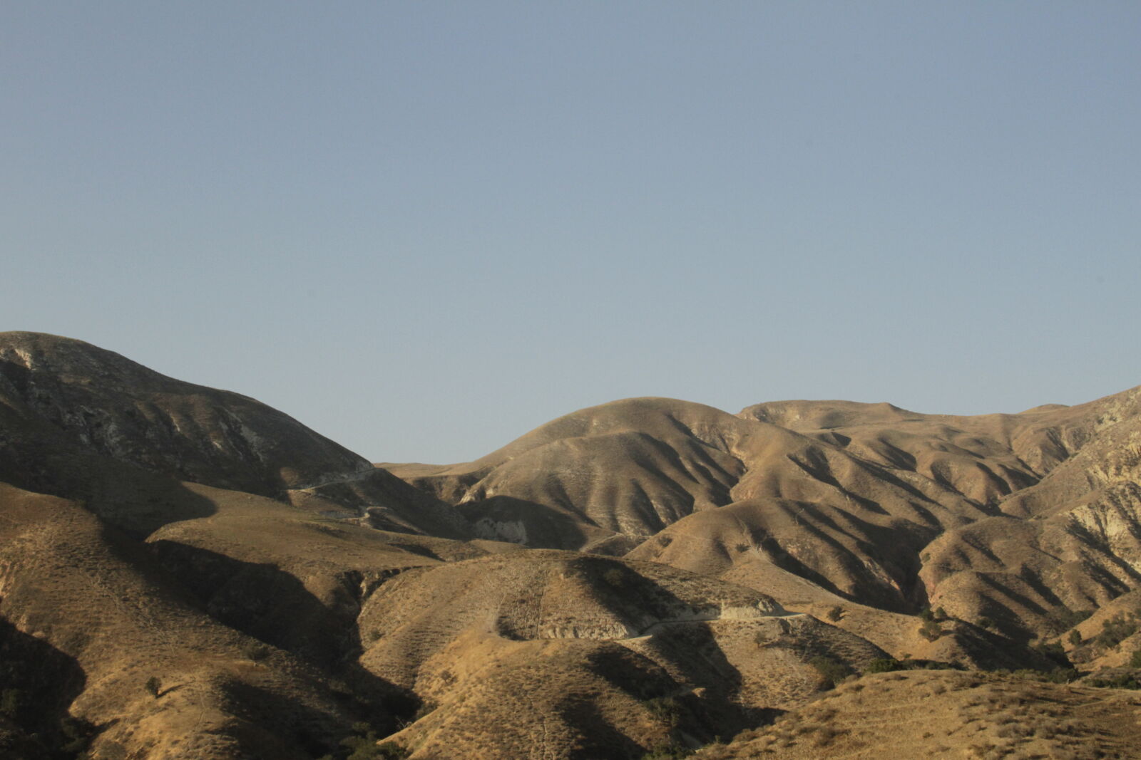 Canon EOS 7D sample photo. California, contrast, golden, hour photography