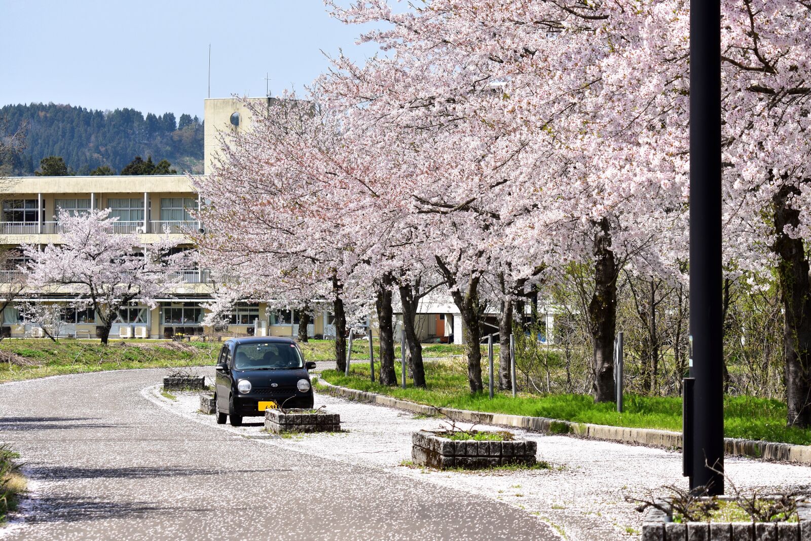 Nikon D7200 sample photo. Natural, landscape, satoyama photography