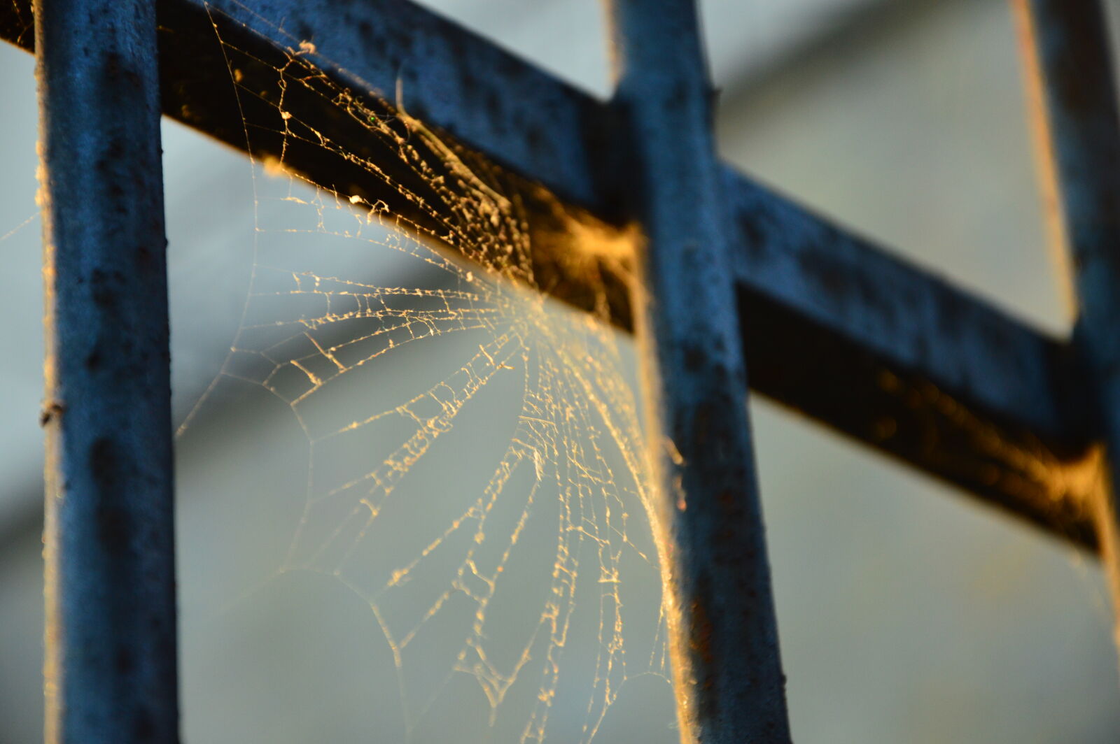Nikon D3200 sample photo. Energy photography