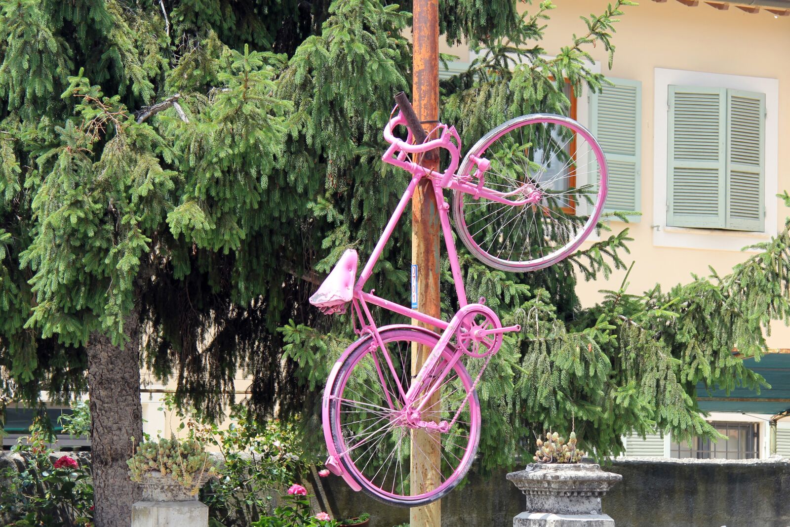 Canon EOS 550D (EOS Rebel T2i / EOS Kiss X4) sample photo. Bicycle, rose, pink photography