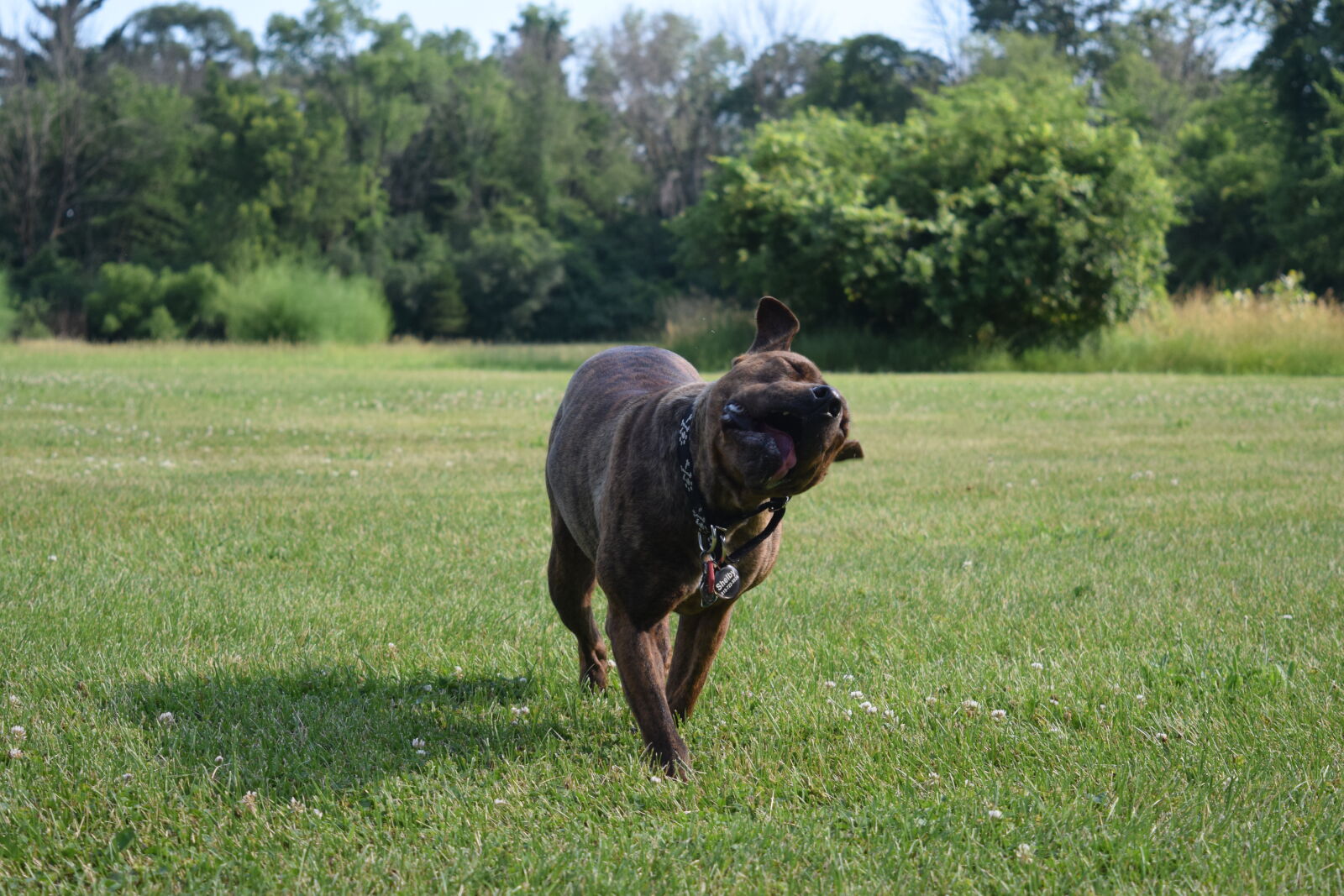 Nikon D3300 sample photo