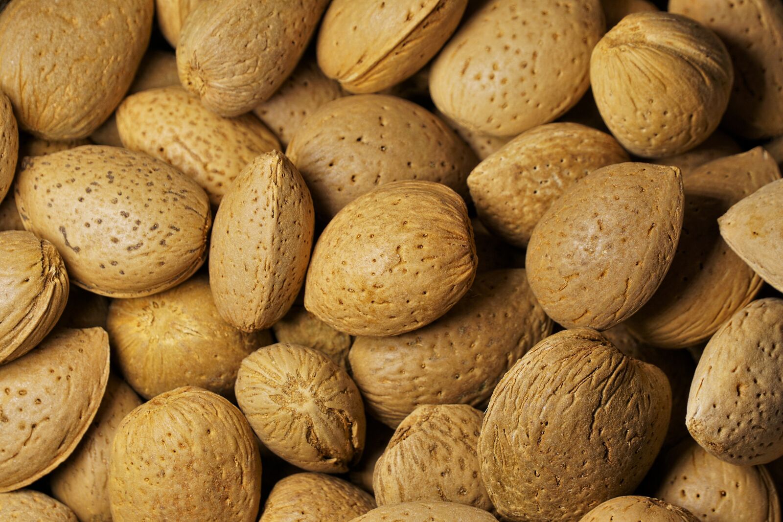 Sony E 55-210mm F4.5-6.3 OSS sample photo. Almonds, nuts, nibble photography