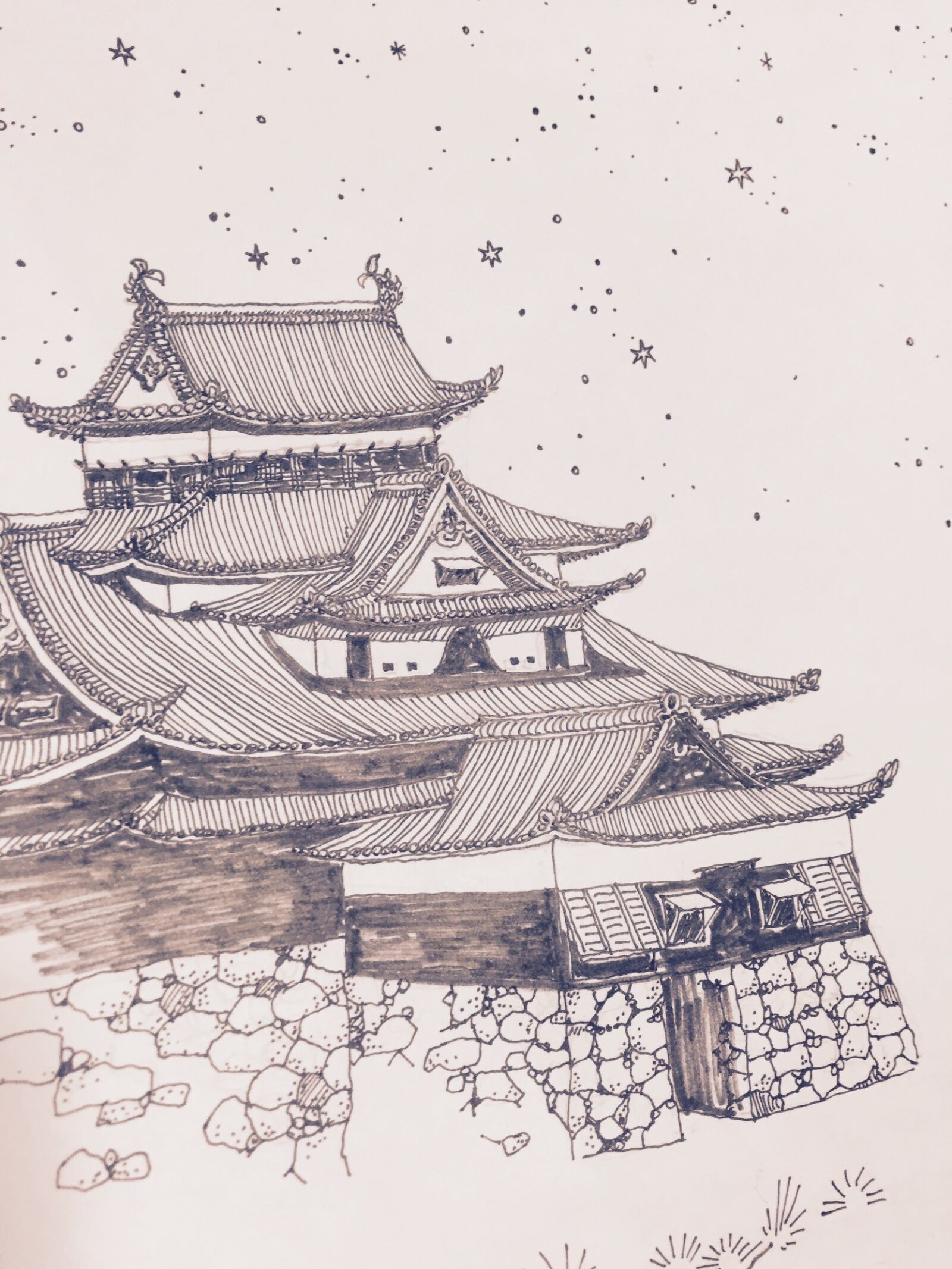 Apple iPhone 6 sample photo. Matsue castle, matsue, castle photography