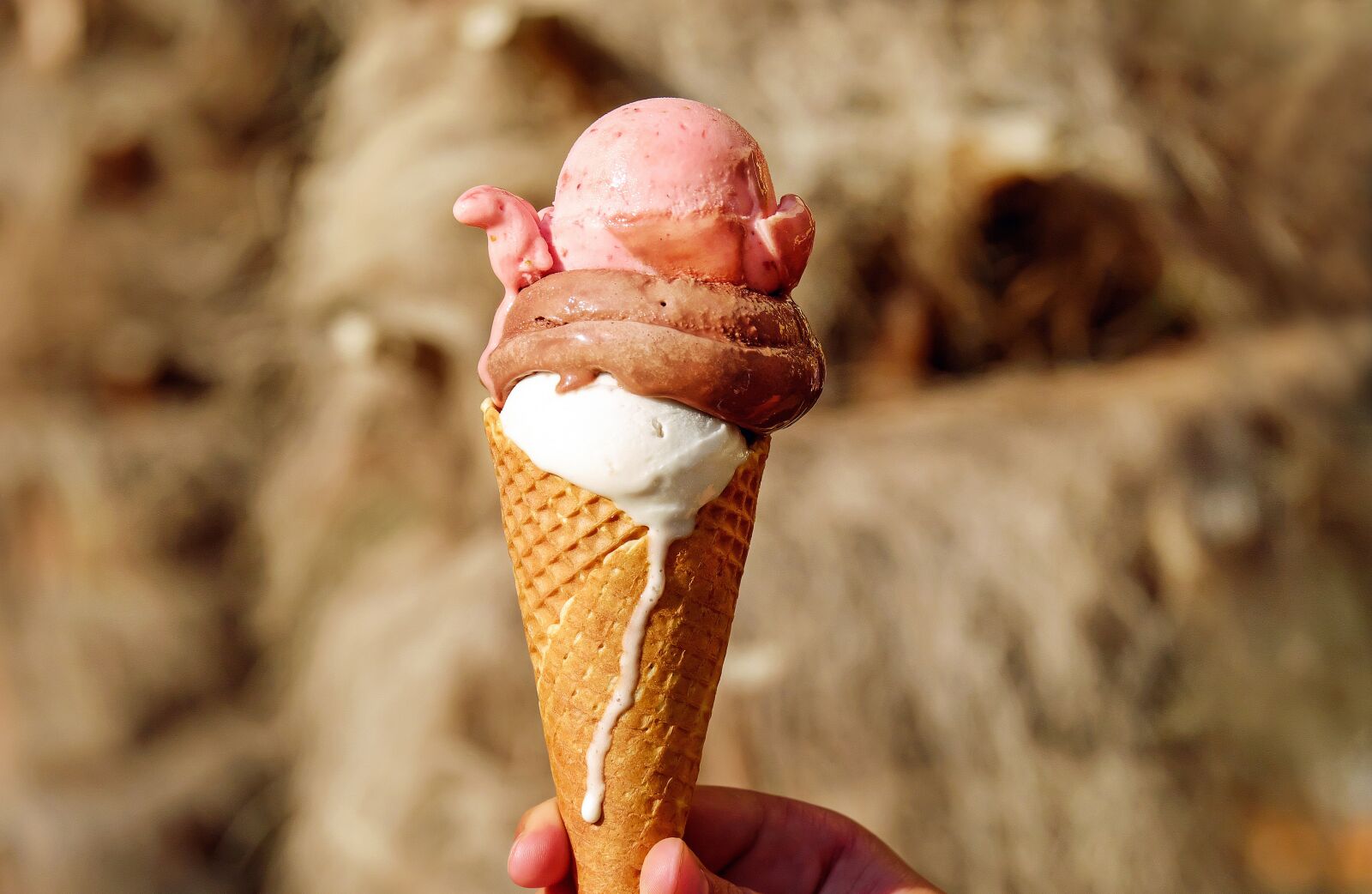 Fujifilm X-T10 + Fujifilm XC 50-230mm F4.5-6.7 OIS sample photo. Ice, ice cream, ice photography