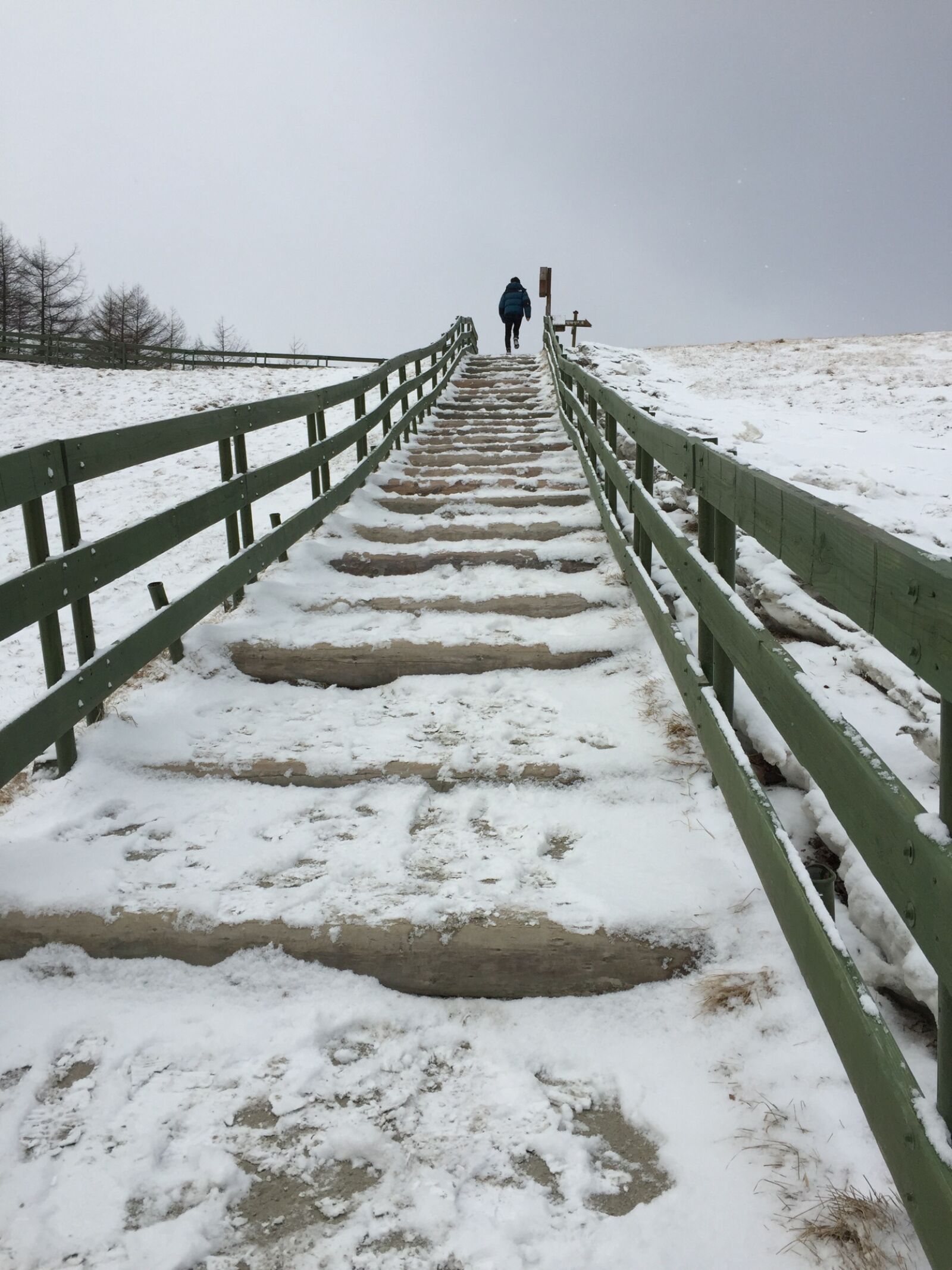 Apple iPhone 6 sample photo. Stairs, winter, landscape photography