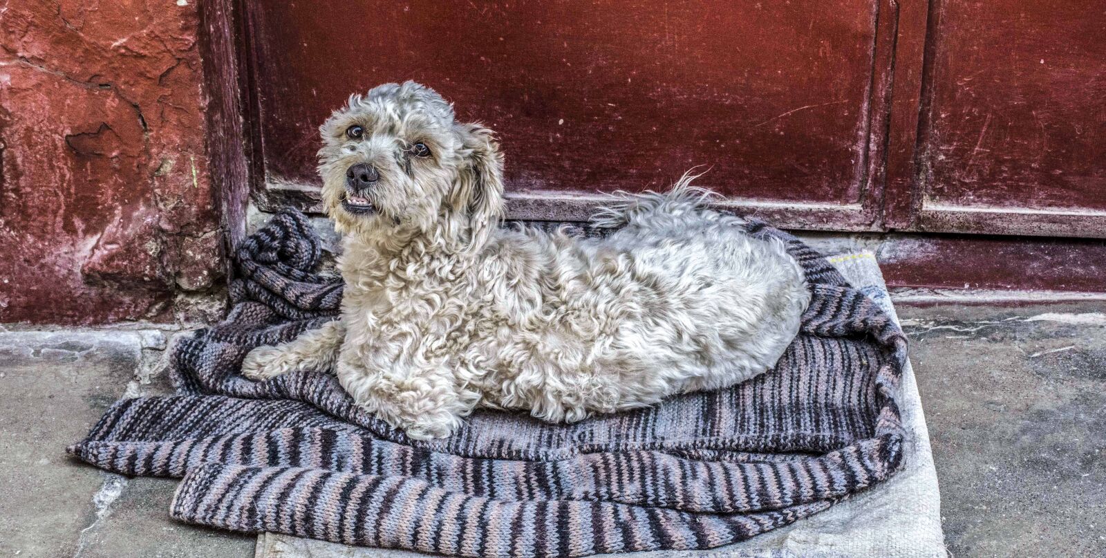 Nikon D7200 sample photo. San jeronimo de surco photography