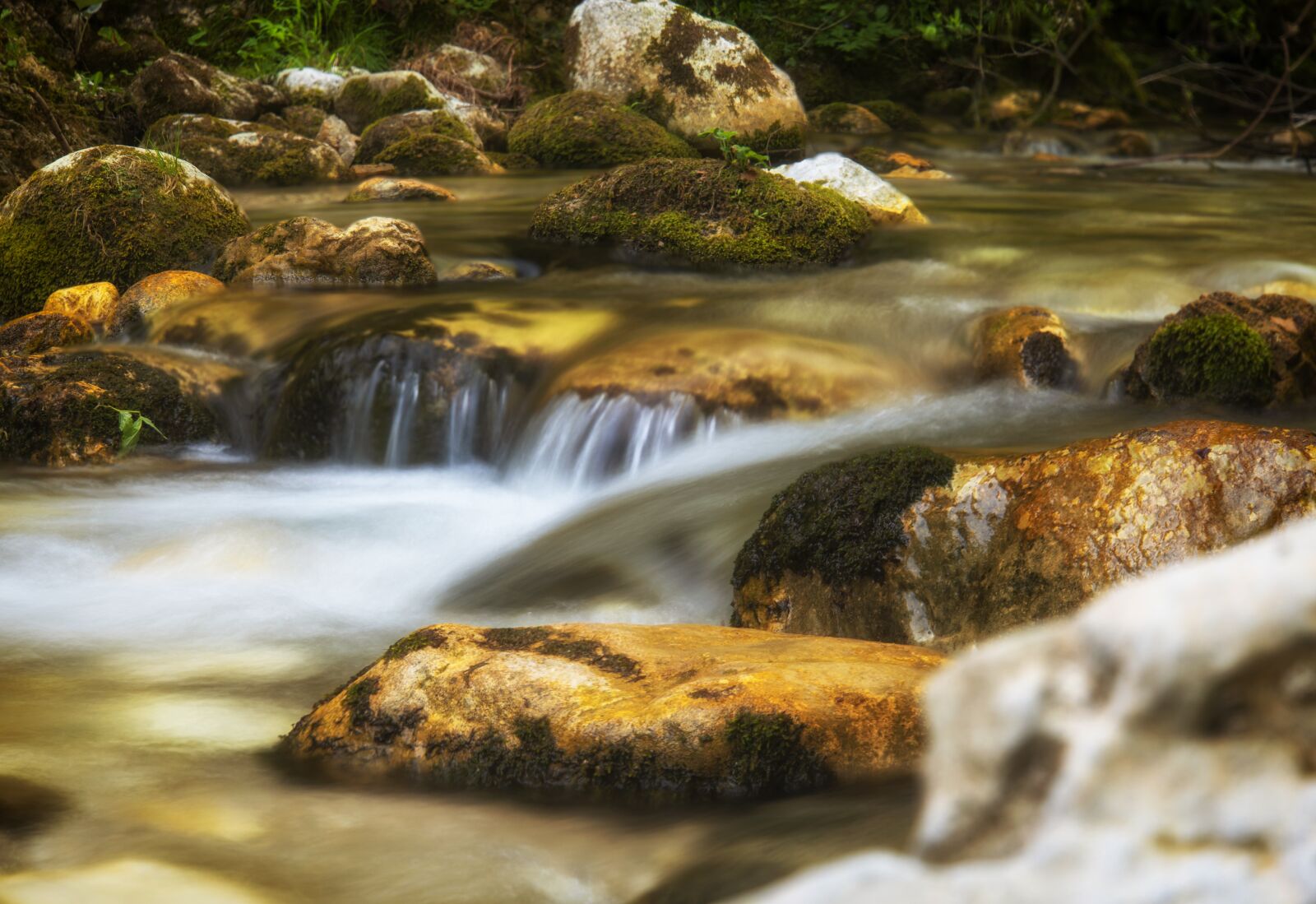 Nikon D750 sample photo. Nature, landscape, tyrol photography