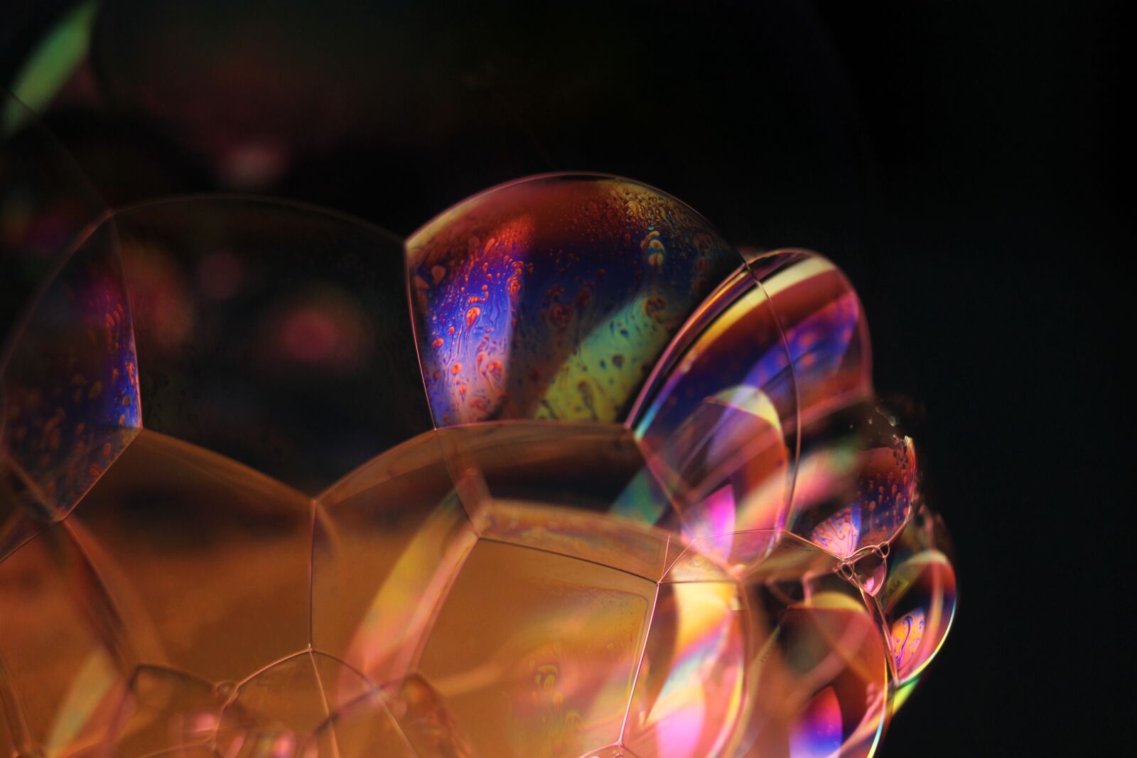 Canon EOS 1100D (EOS Rebel T3 / EOS Kiss X50) sample photo. Bubbles, blow, soap bubble photography