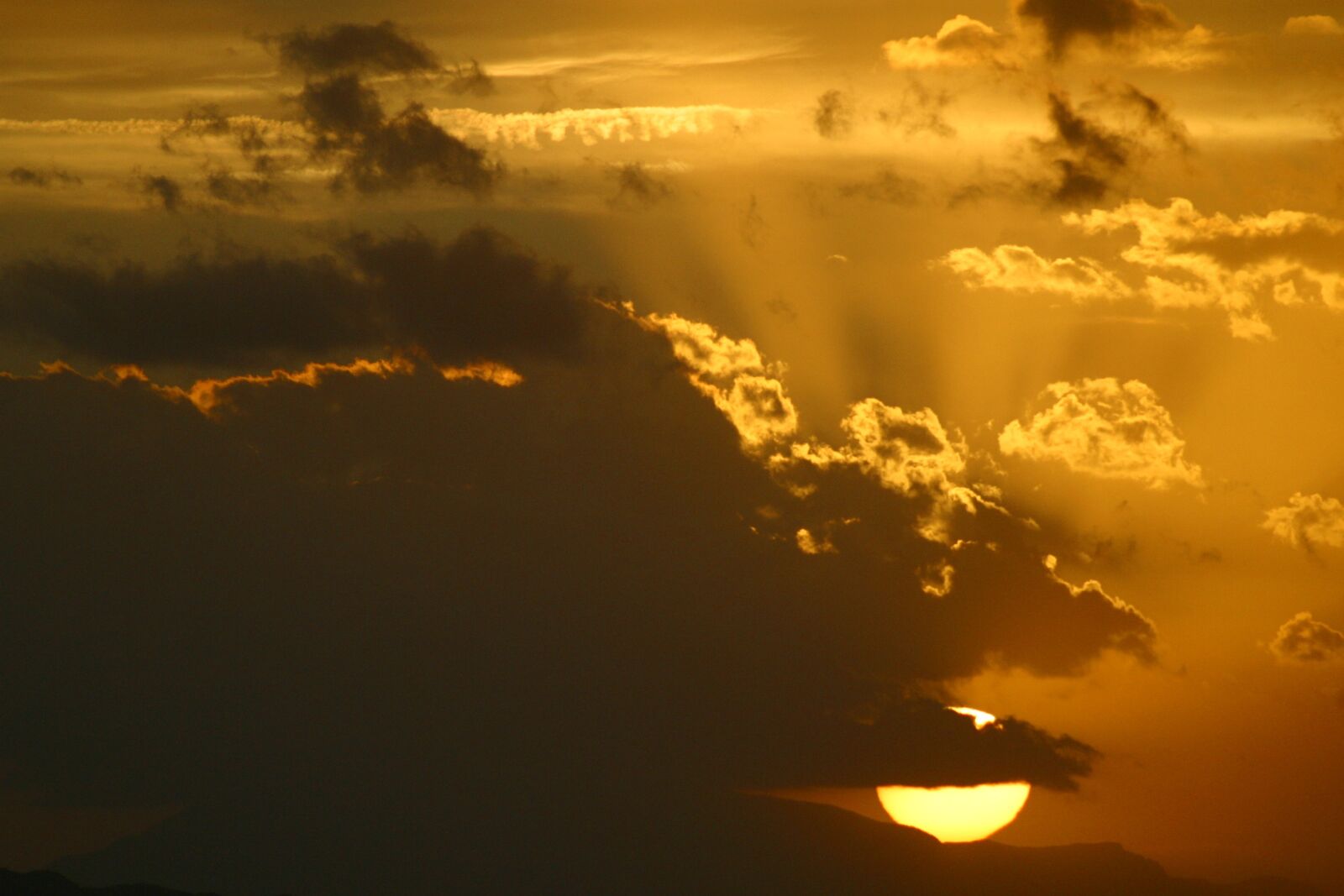 Canon EOS D60 sample photo. Solar, morning, nature photography