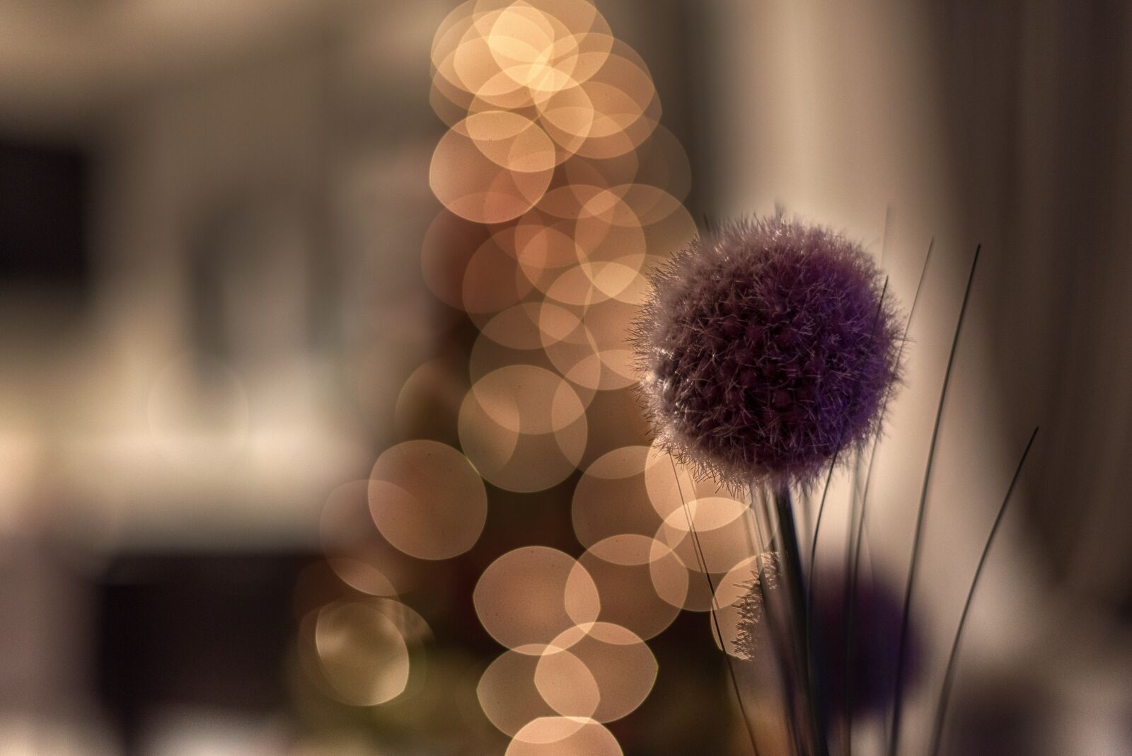 Nikon D750 sample photo. Christmas, lights, holiday photography