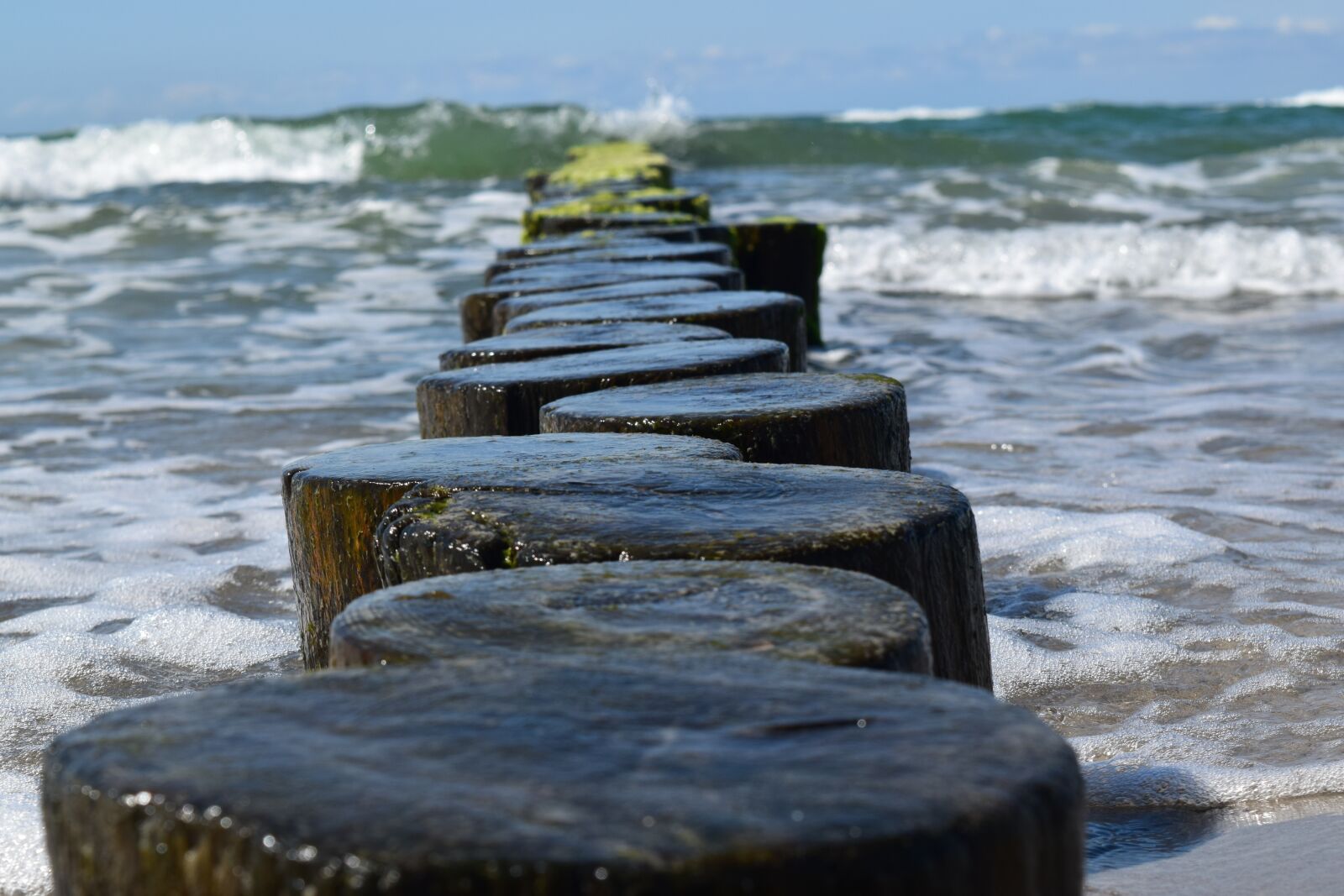 Nikon D5300 sample photo. Baltic sea, ahrenshoop photography